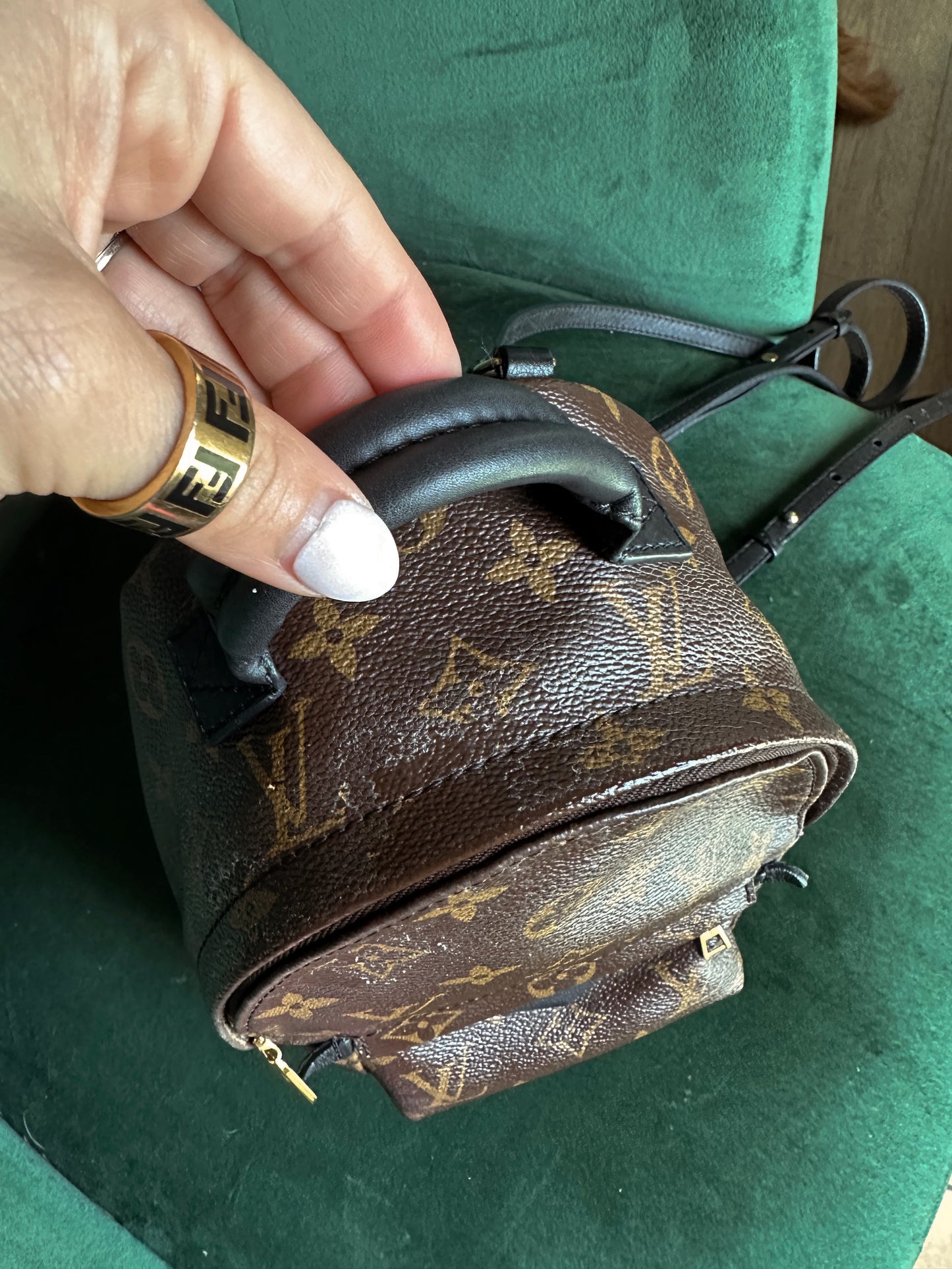 Louis Vuitton Palm Springs Backpack Mini