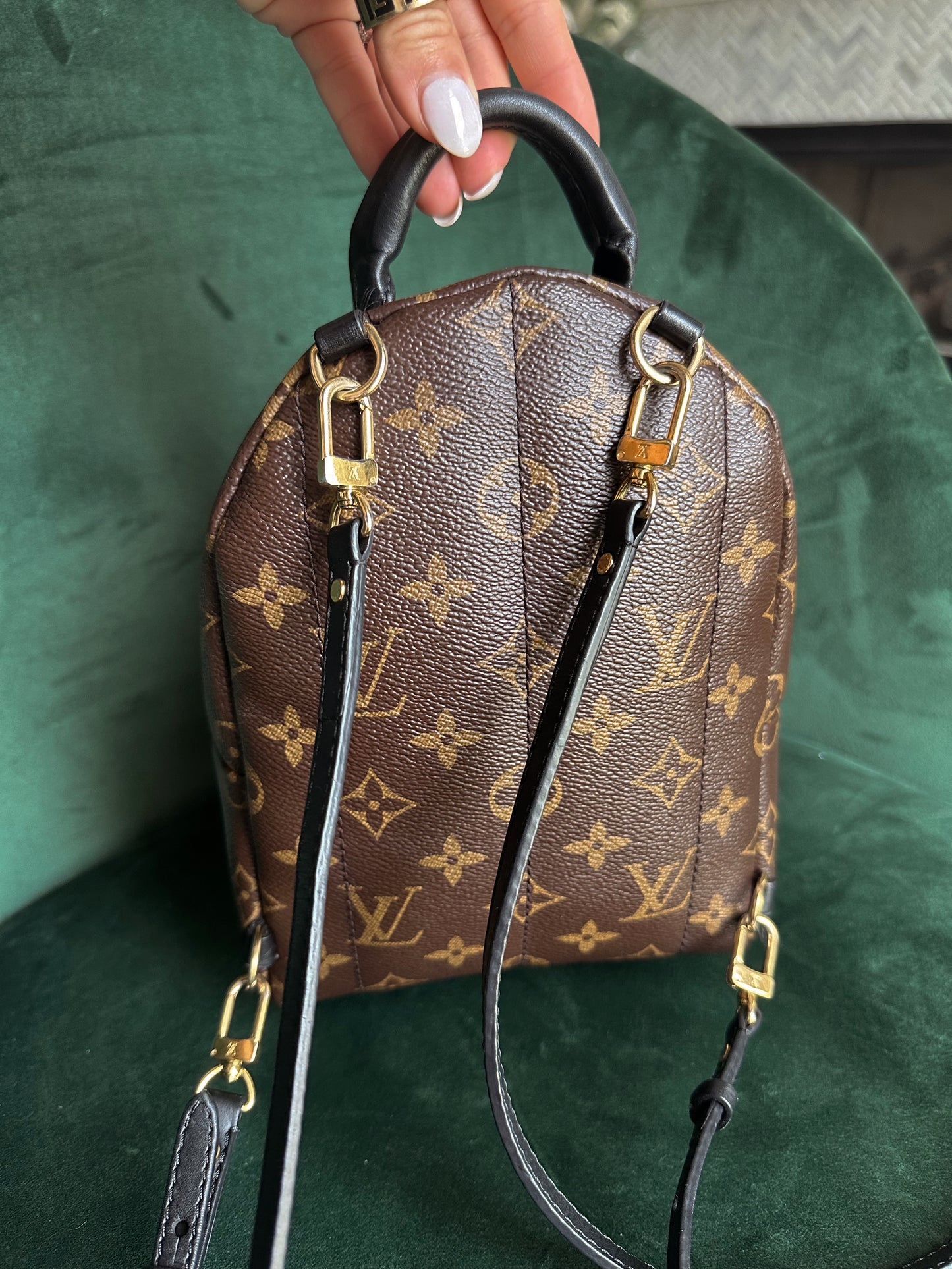 Louis Vuitton Palm Springs Backpack Mini