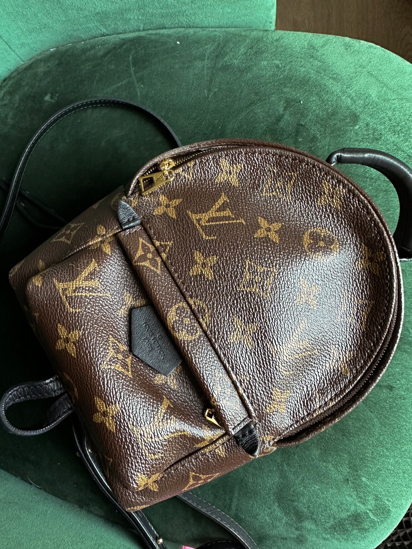 Louis Vuitton Palm Springs Backpack Mini