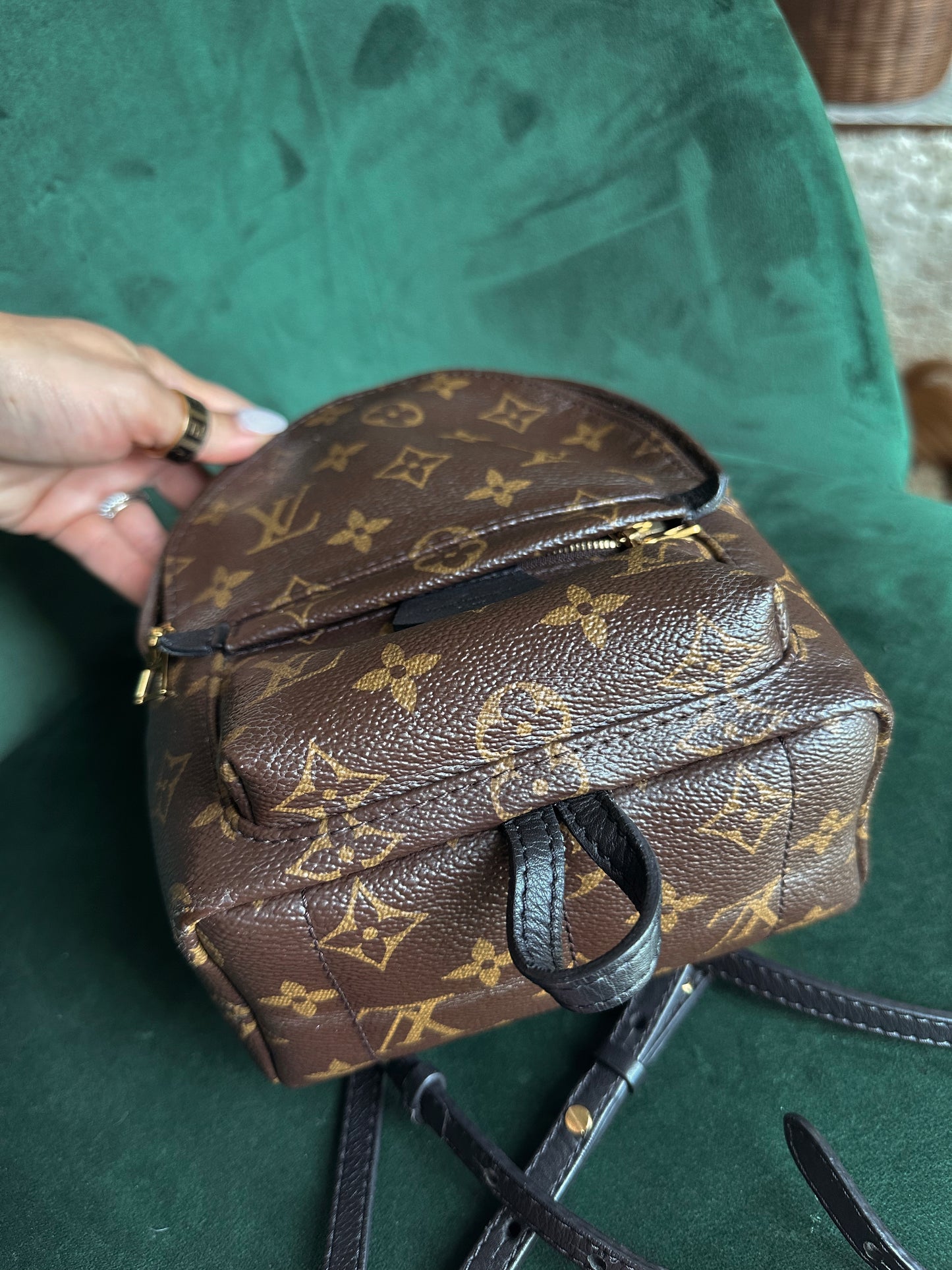 Louis Vuitton Palm Springs Backpack Mini