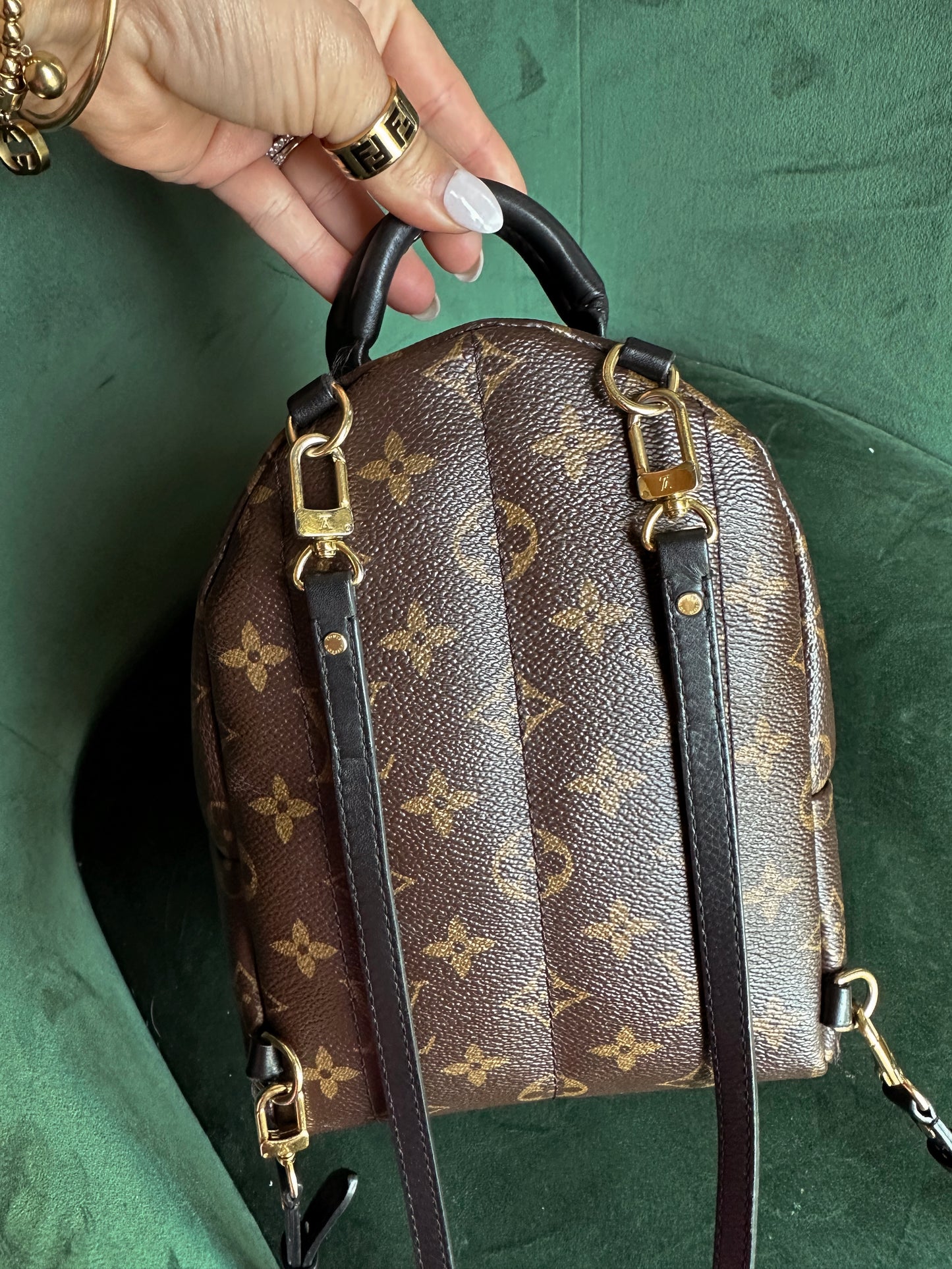 Louis Vuitton Palm Springs Backpack Mini