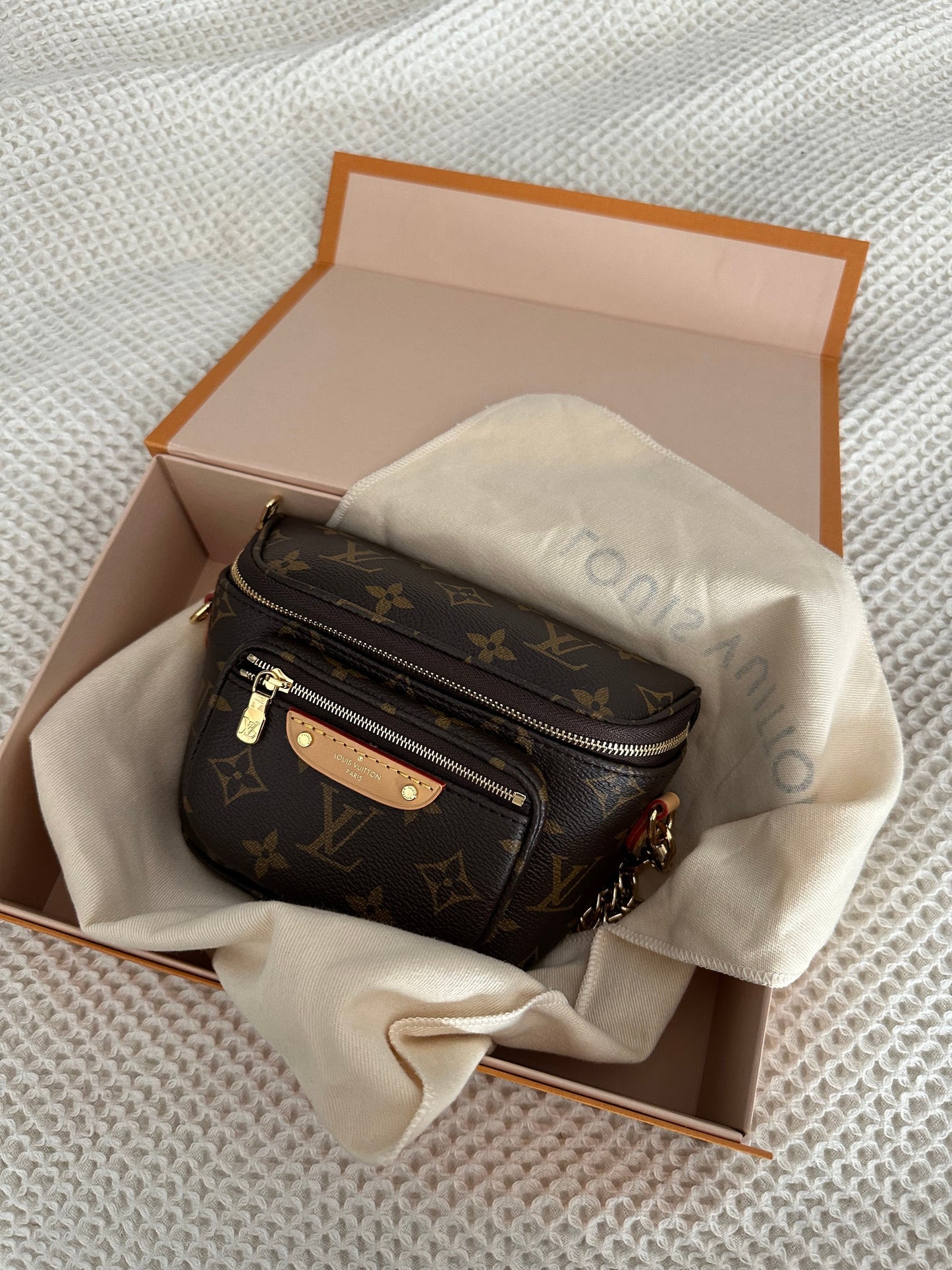 Louis Vuitton Mini Bumbag Monogram