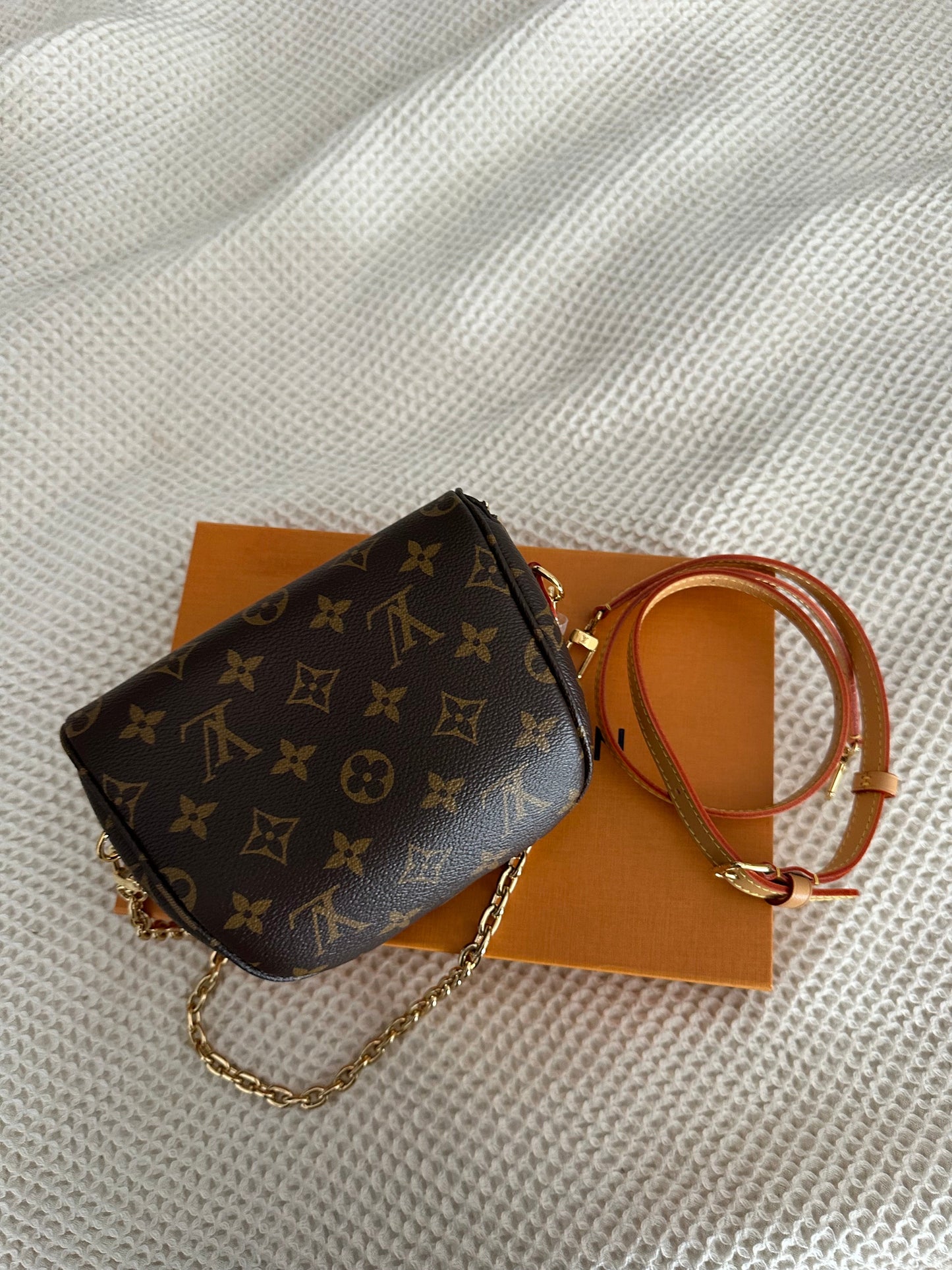 Louis Vuitton Mini Bumbag Monogram