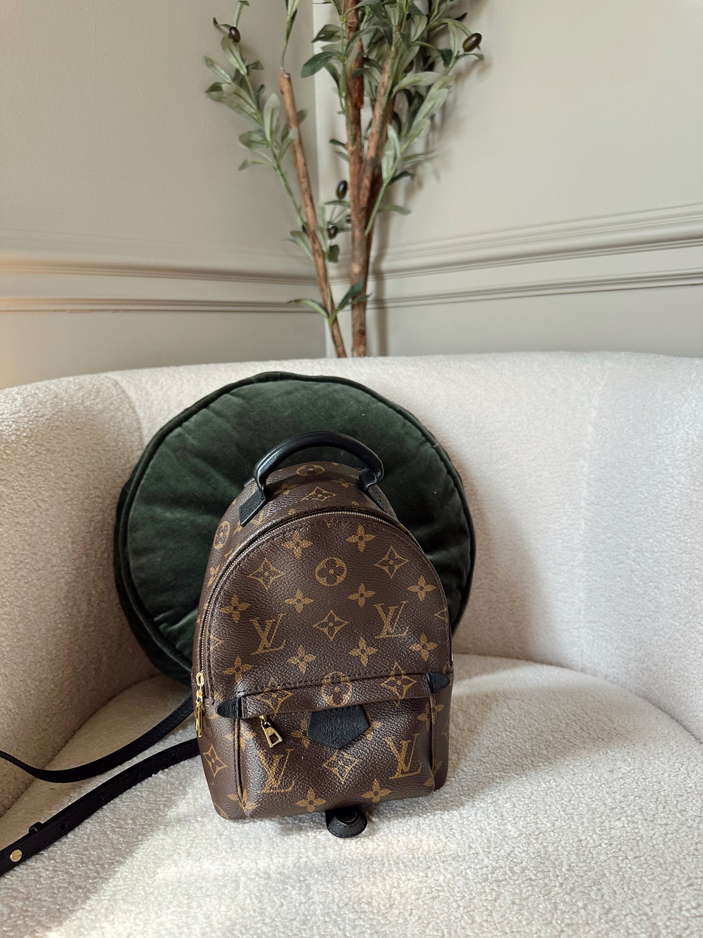 Louis Vuitton Palm Springs Mini Backpack