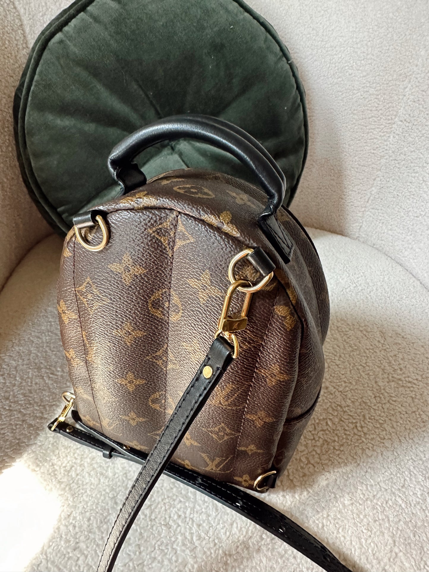 Louis Vuitton Palm Springs Mini Backpack