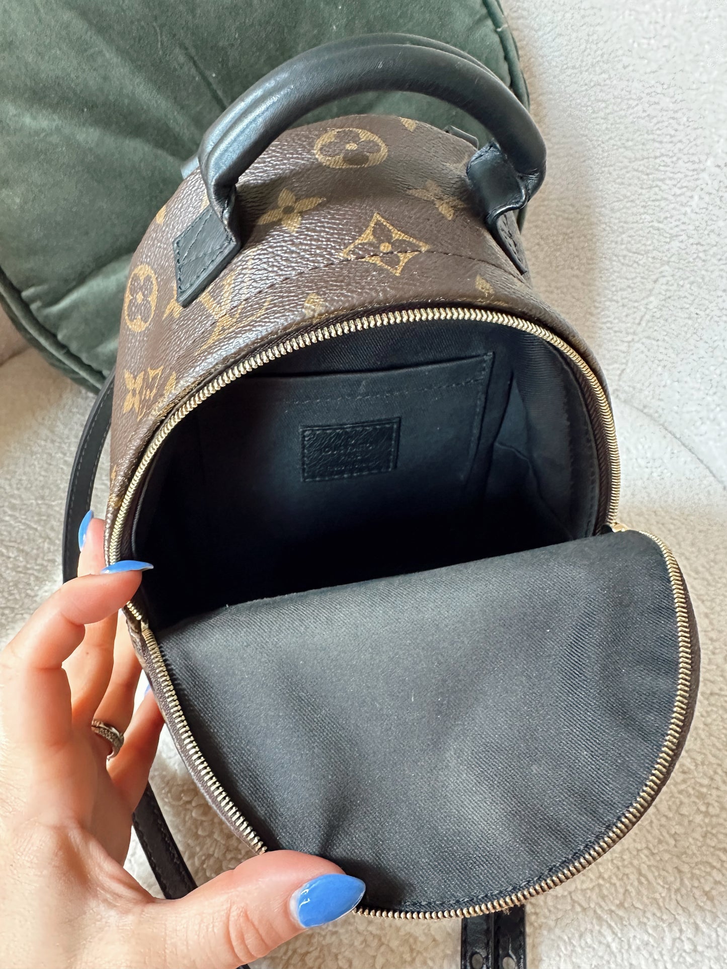 Louis Vuitton Palm Springs Mini Backpack