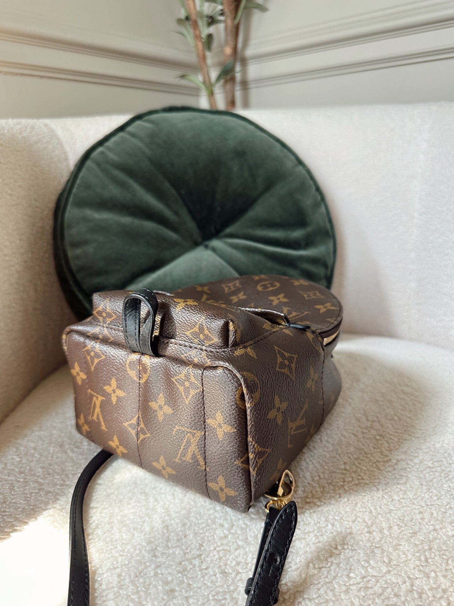 Louis Vuitton Palm Springs Mini Backpack