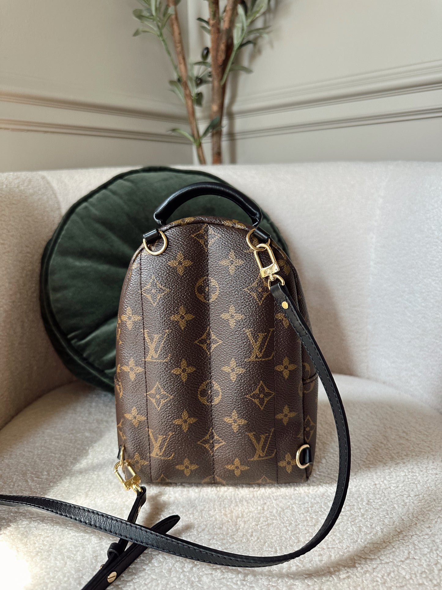 Louis Vuitton Palm Springs Mini Backpack