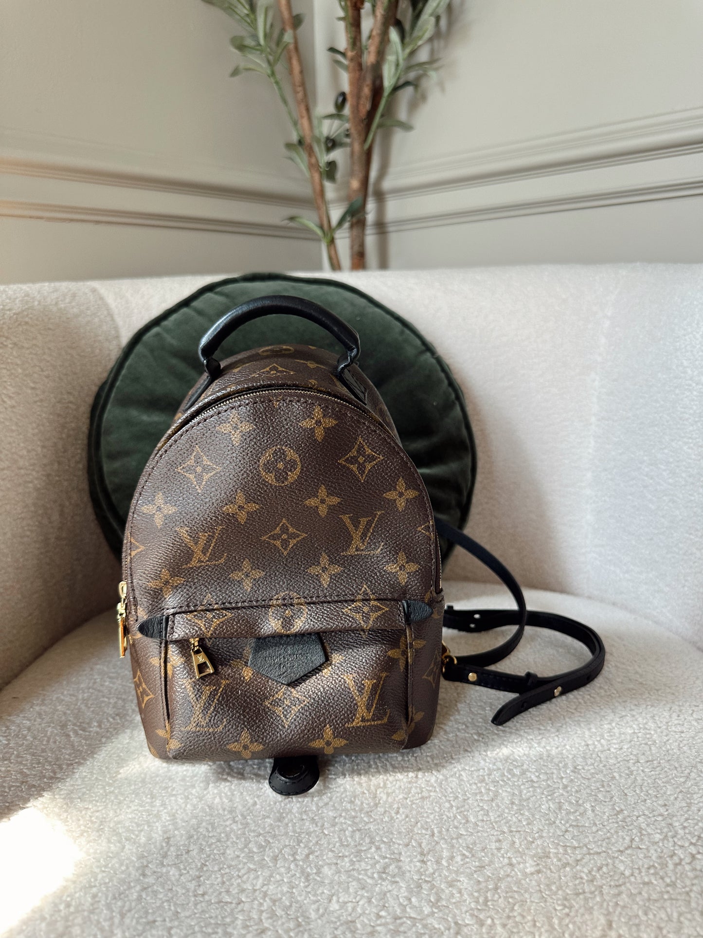 Louis Vuitton Palm Springs Mini Backpack