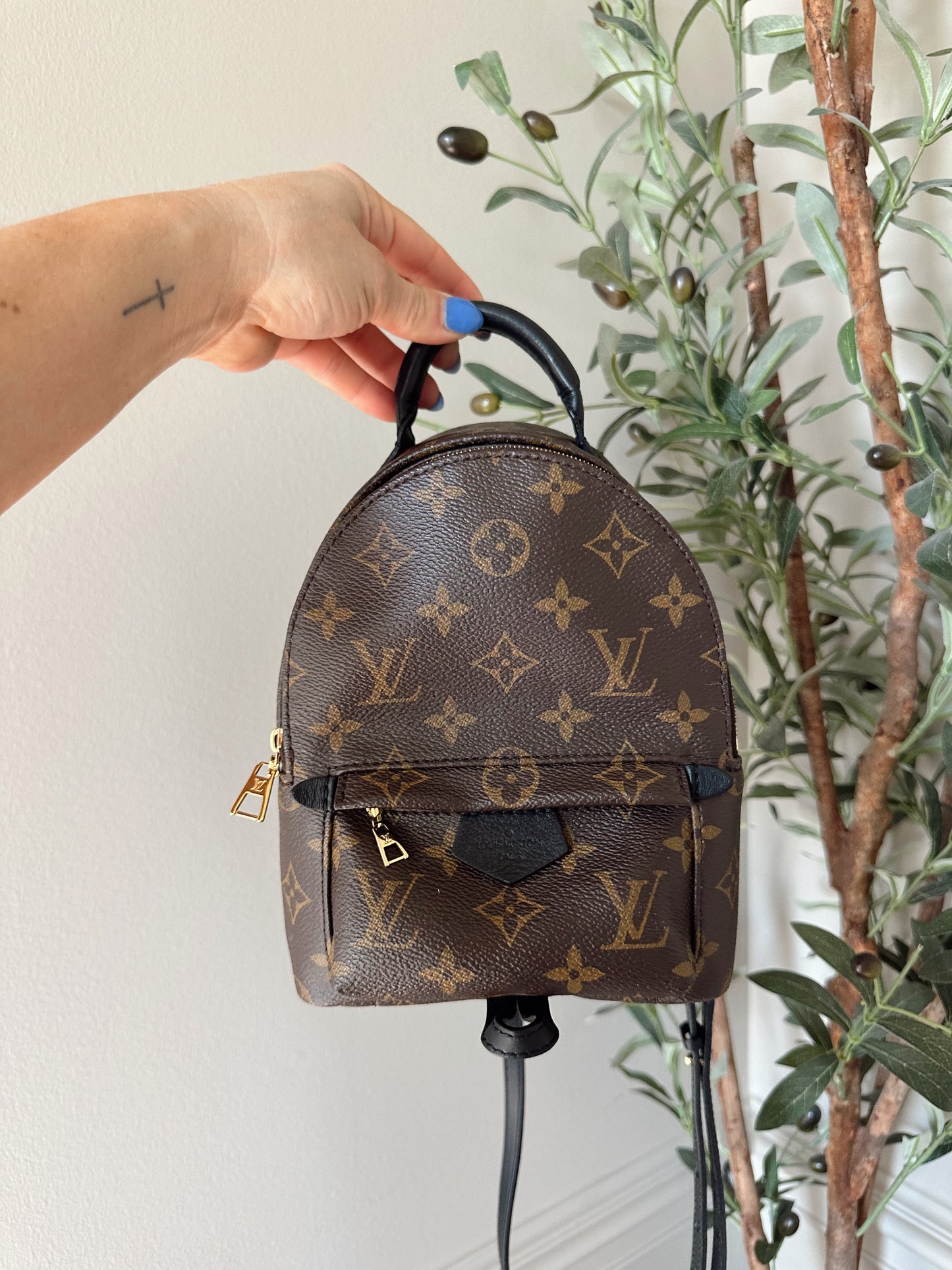 Louis Vuitton Palm Springs Mini Backpack