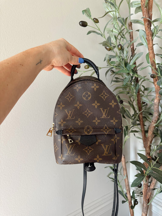 Louis Vuitton Palm Springs Mini Backpack