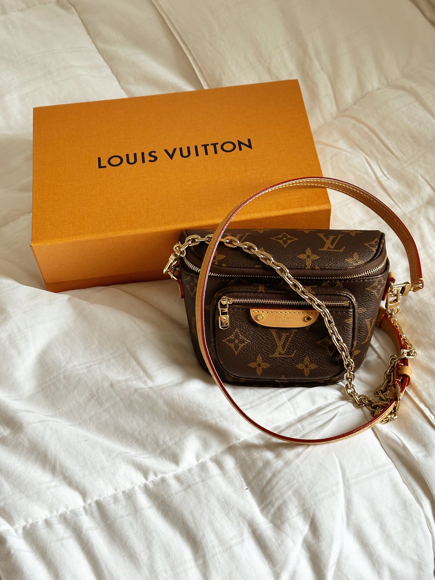 Louis Vuitton Mini Bumbag