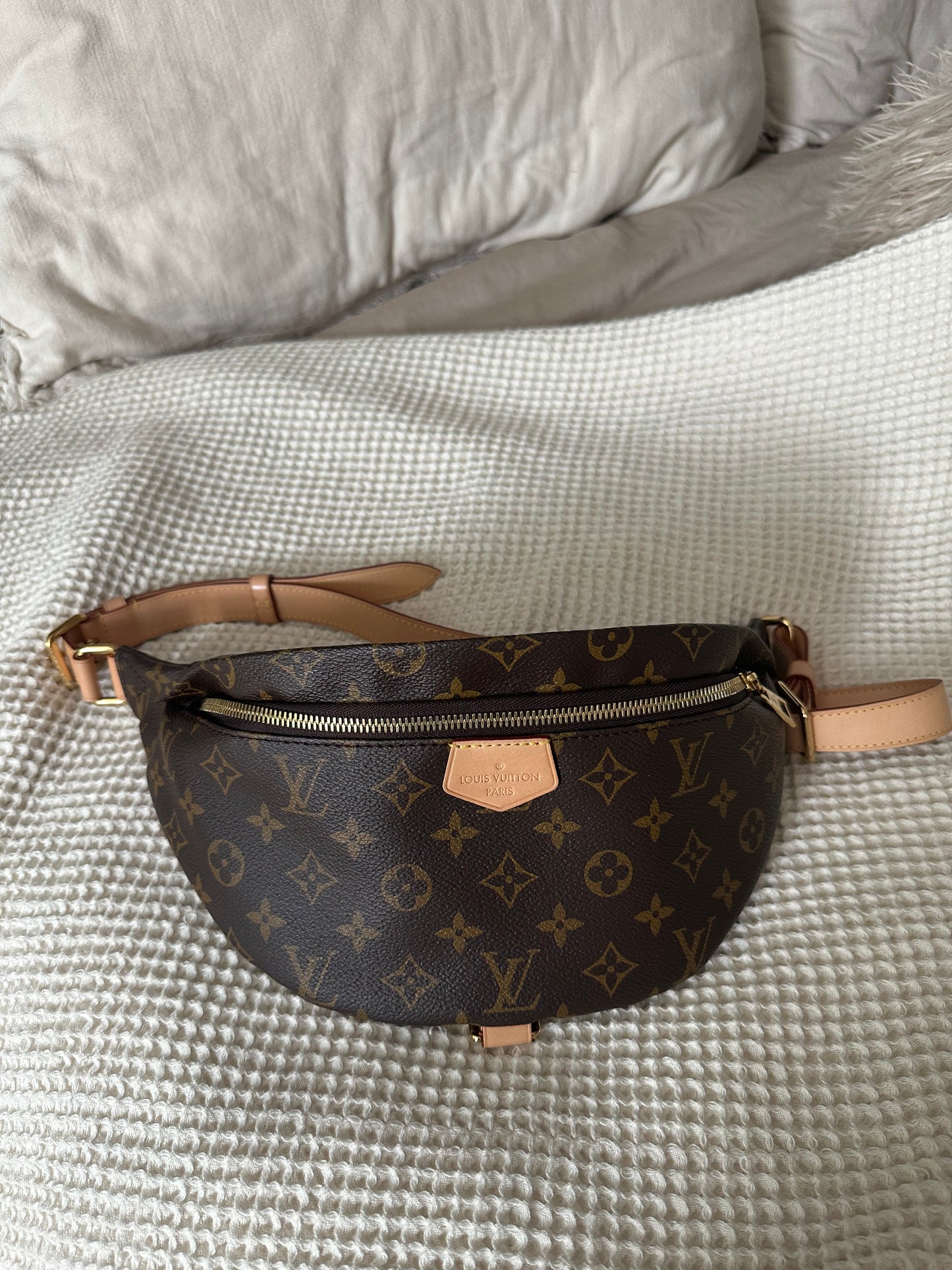 Louis Vuitton Bumbag Monogram