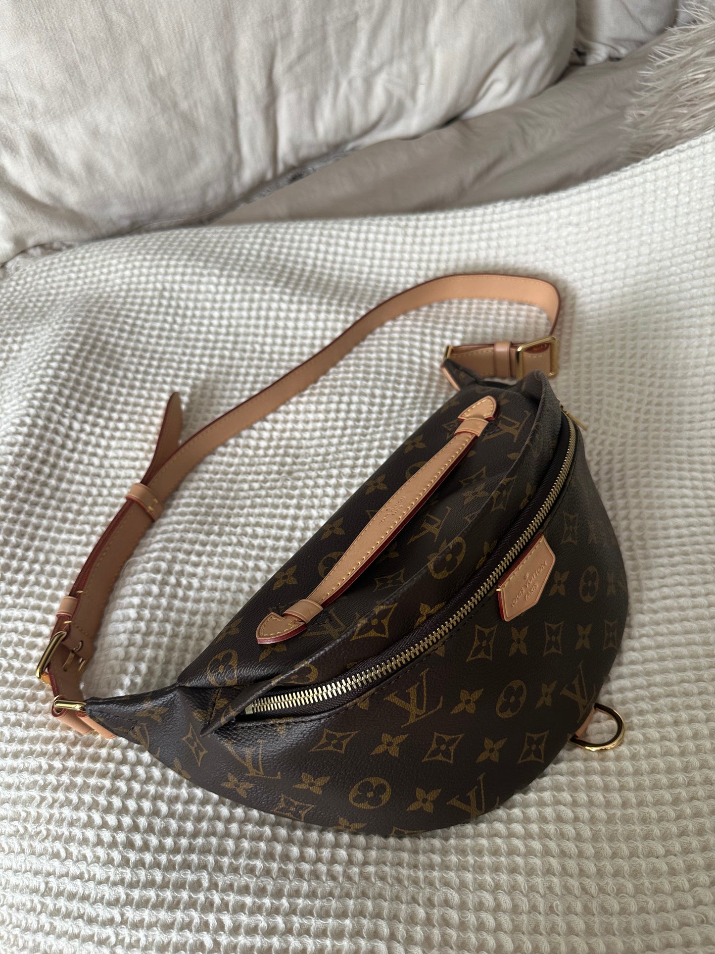 Louis Vuitton Bumbag Monogram