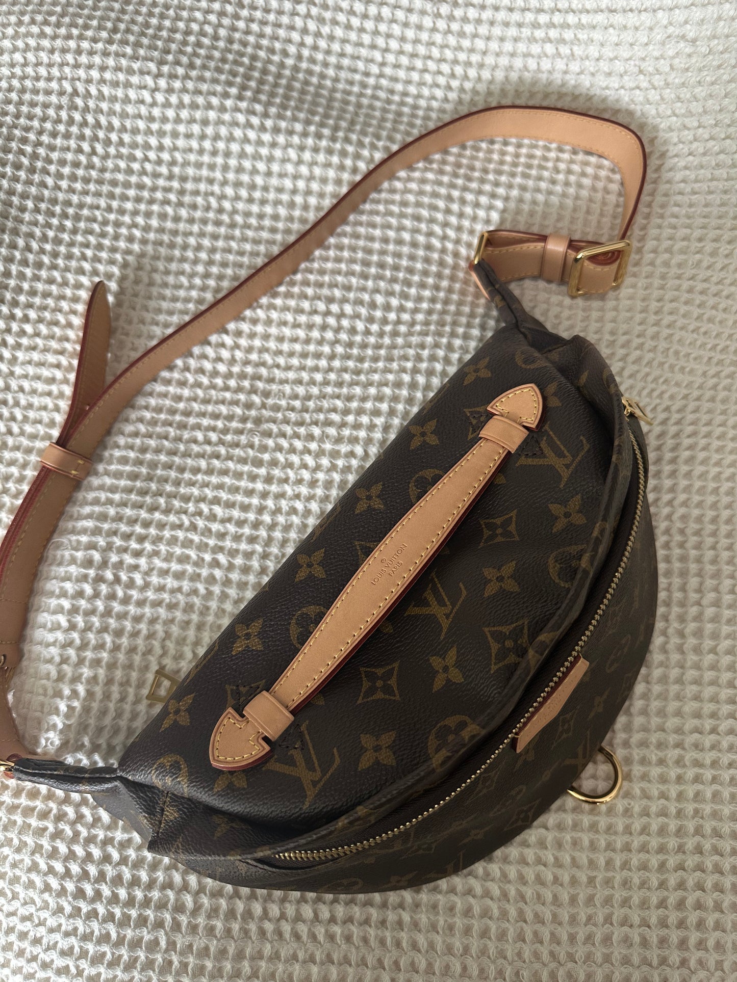 Louis Vuitton Bumbag Monogram