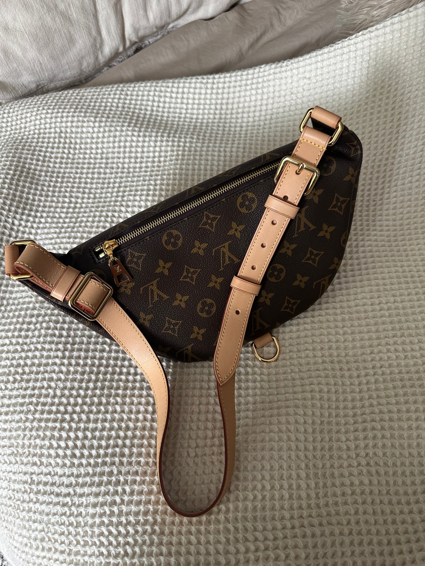 Louis Vuitton Bumbag Monogram