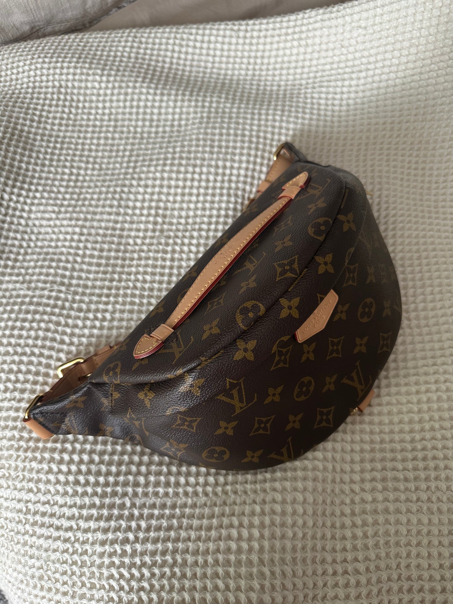 Louis Vuitton Bumbag Monogram