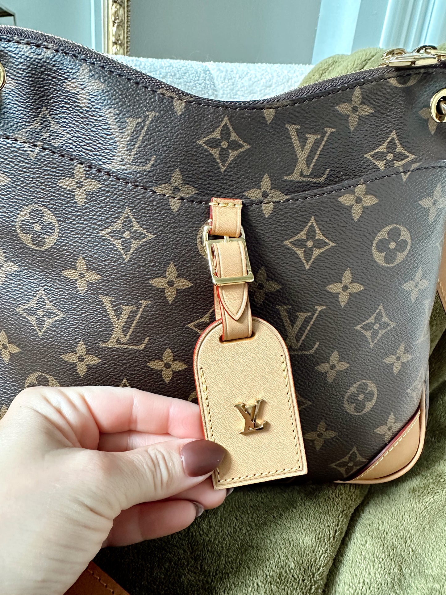 Louis Vuitton Odeon NM PM Monogram