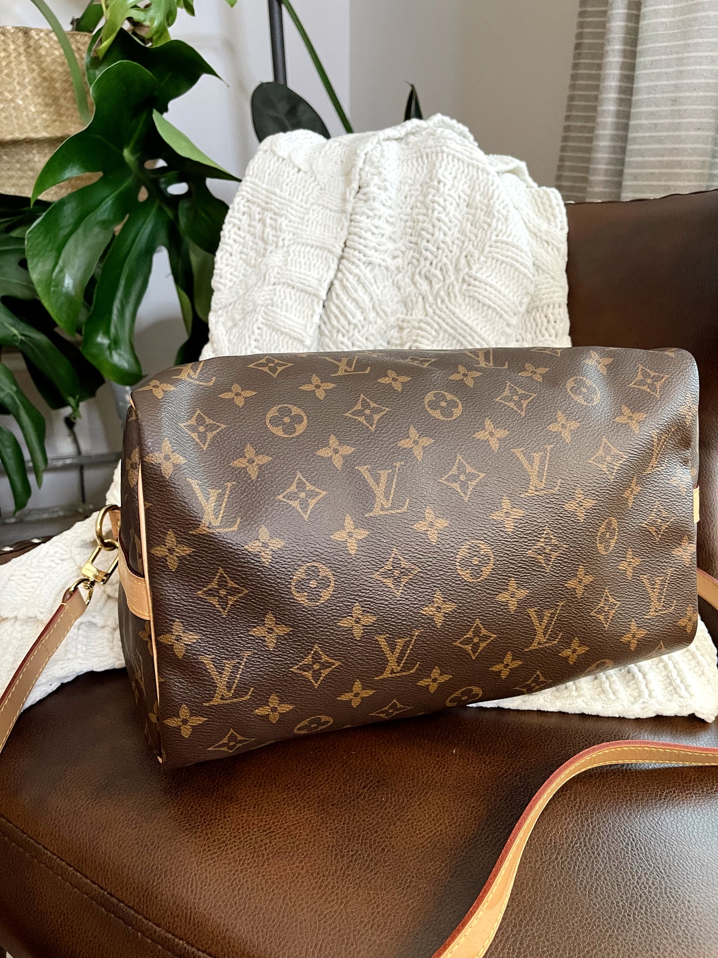 Speedy Bandouliere 30 Monogram