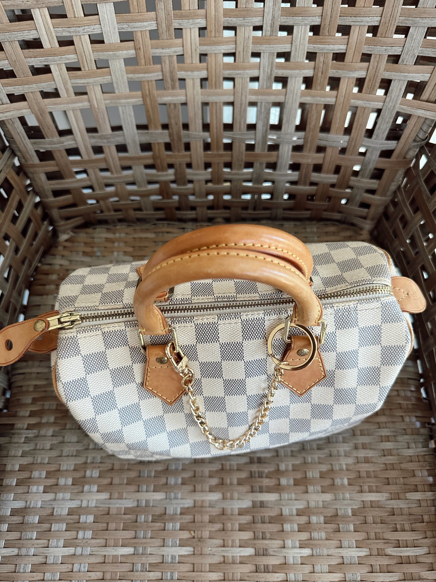 Louis Vuitton Speedy 25 Azur