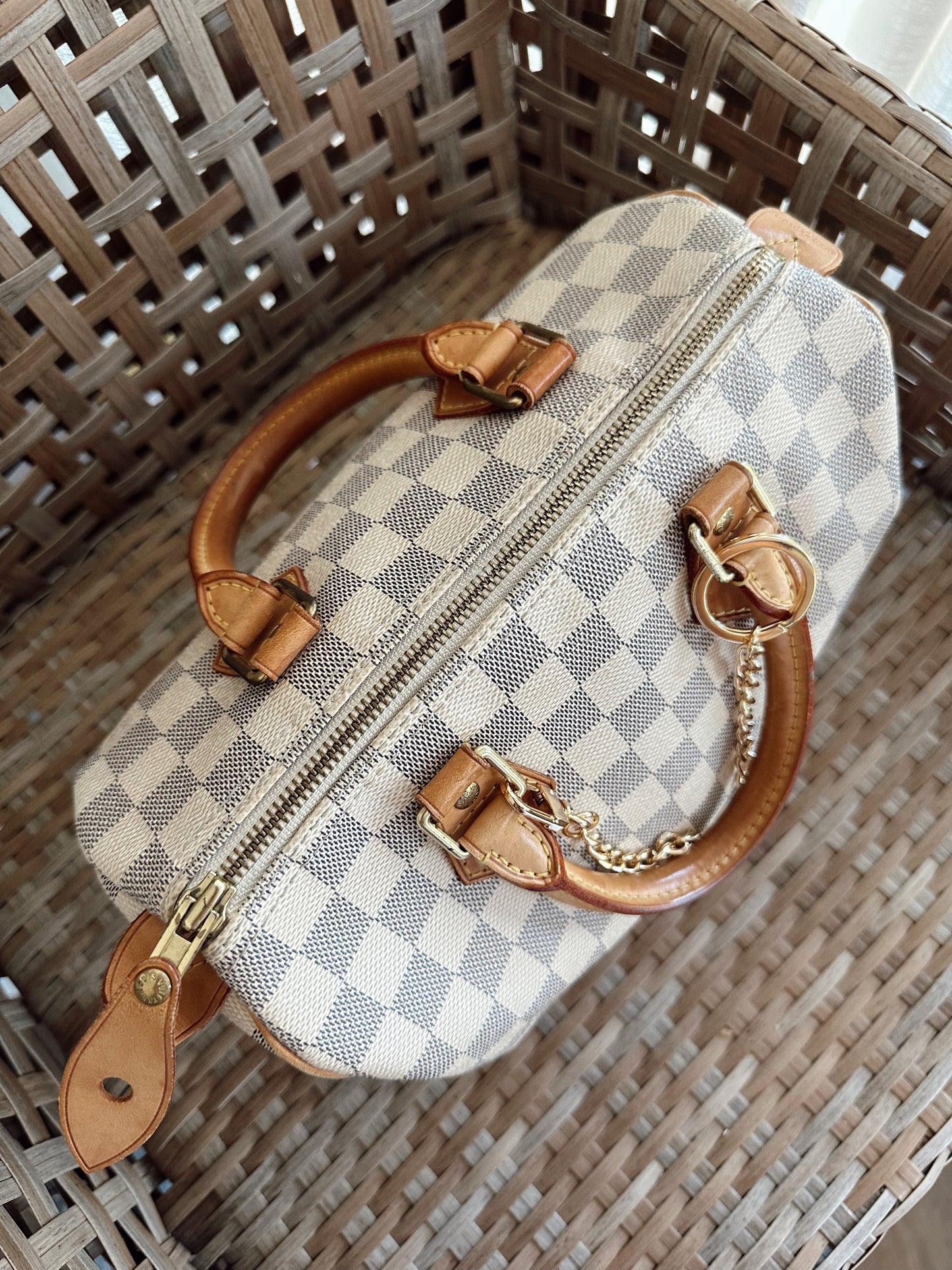 Louis Vuitton Speedy 25 Azur