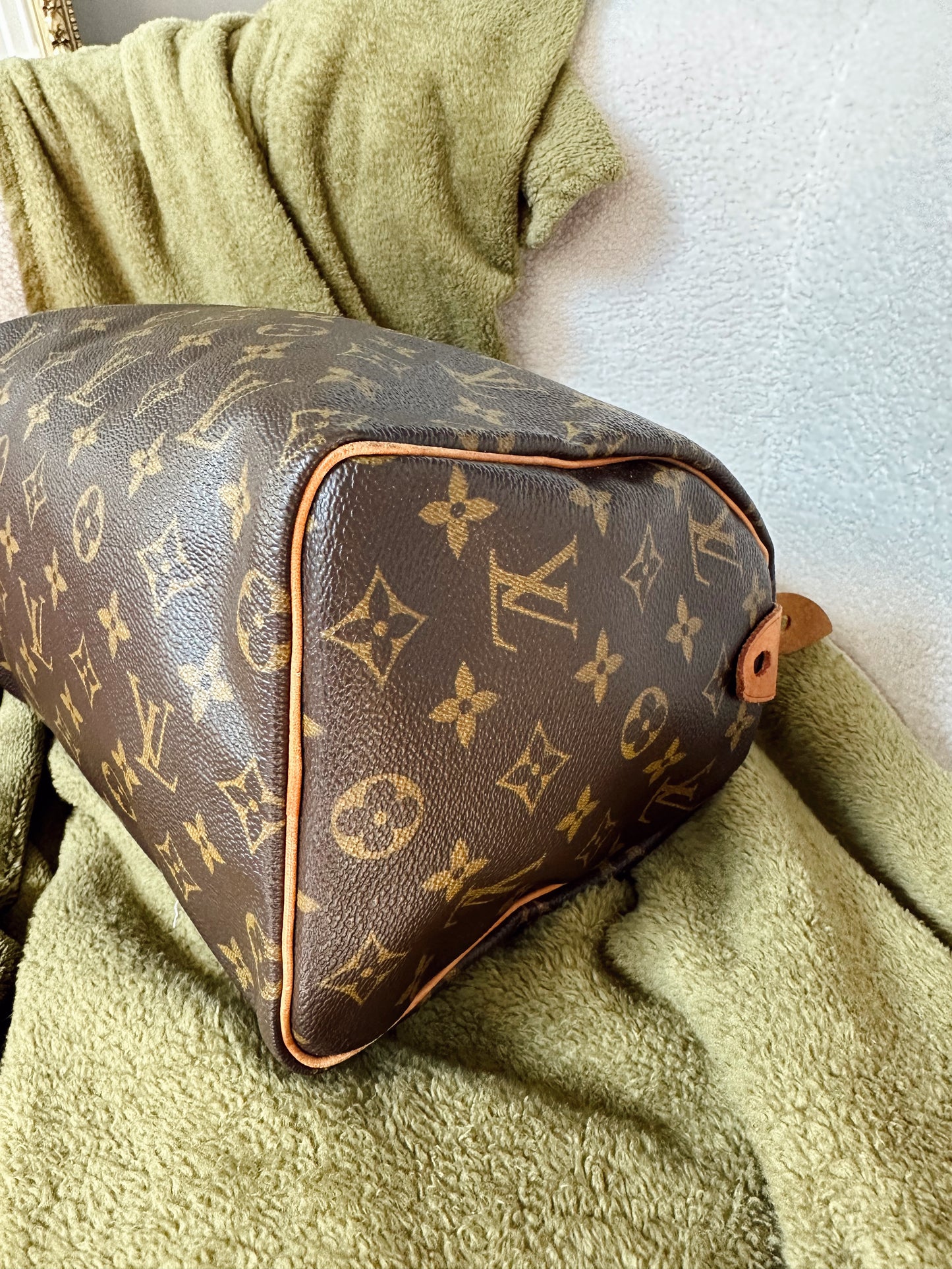 Louis Vuitton Speedy 25 Monogram