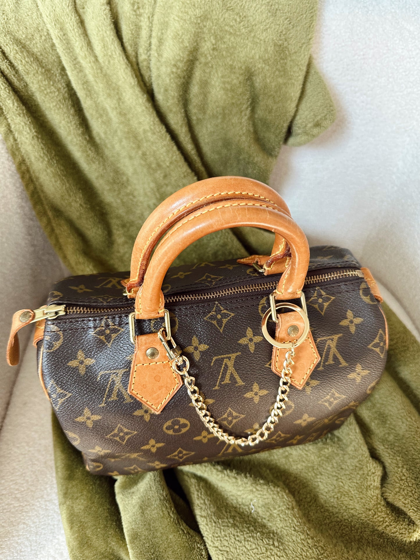 Louis Vuitton Speedy 25 Monogram