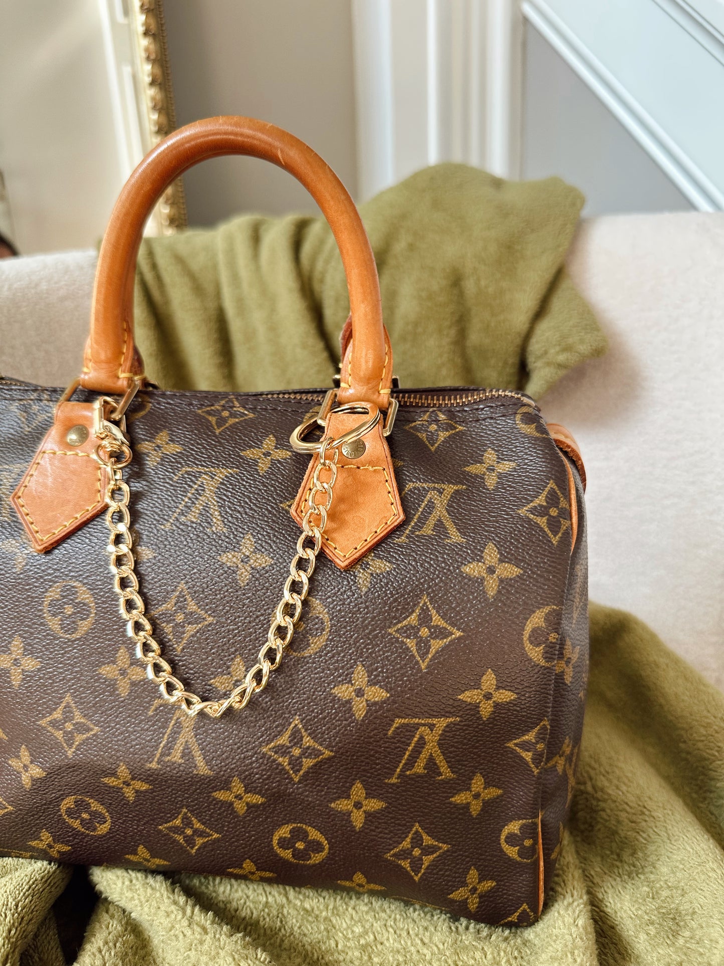 Louis Vuitton Speedy 25 Monogram