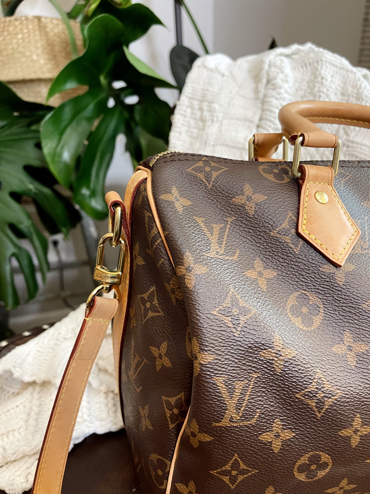 Speedy Bandouliere 30 Monogram