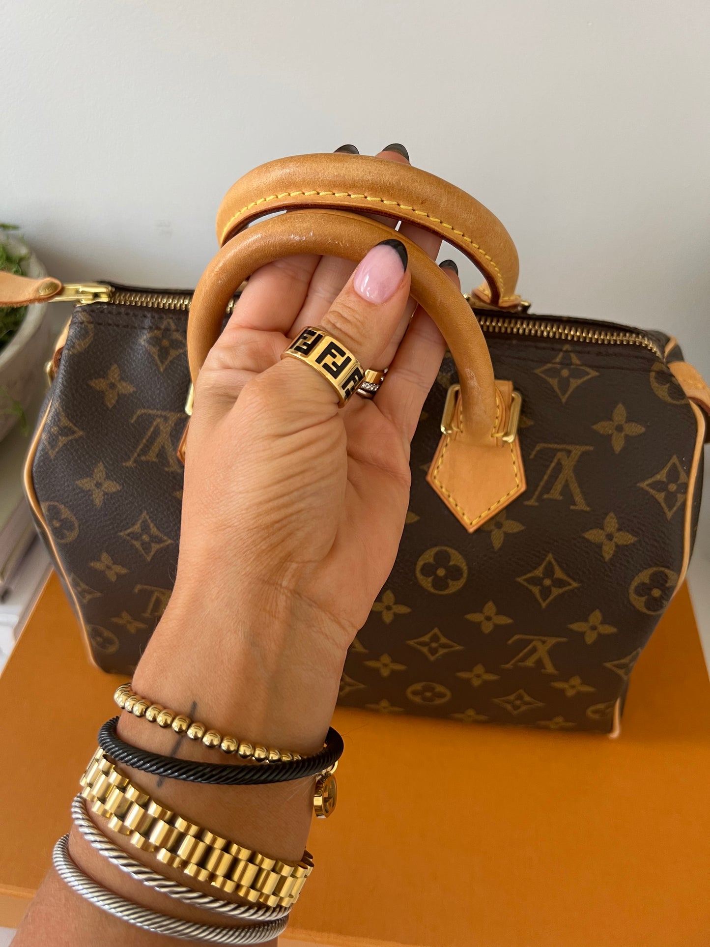 Louis Vuitton Speedy 25 Monogram