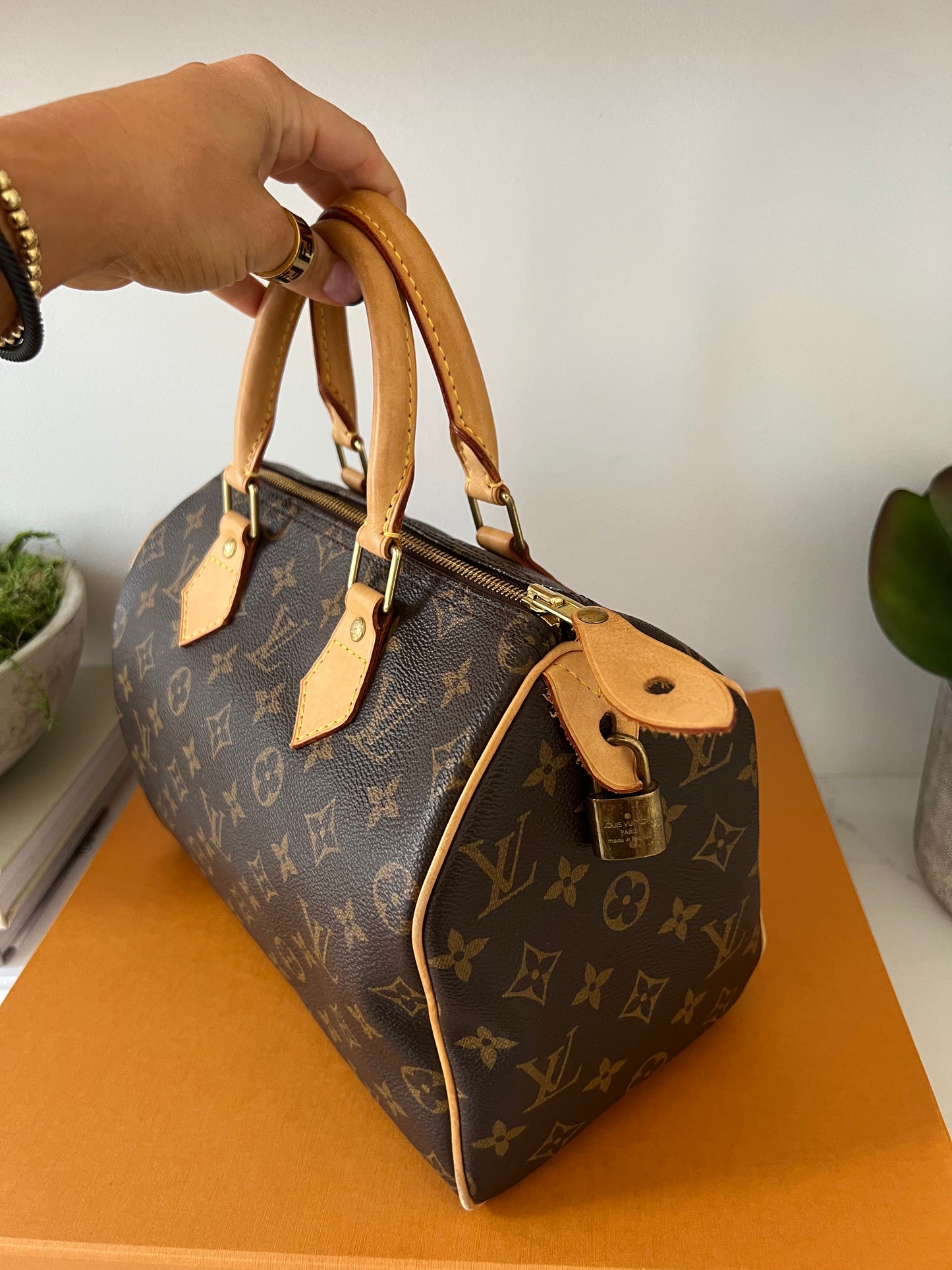 Louis Vuitton Speedy 25 Monogram