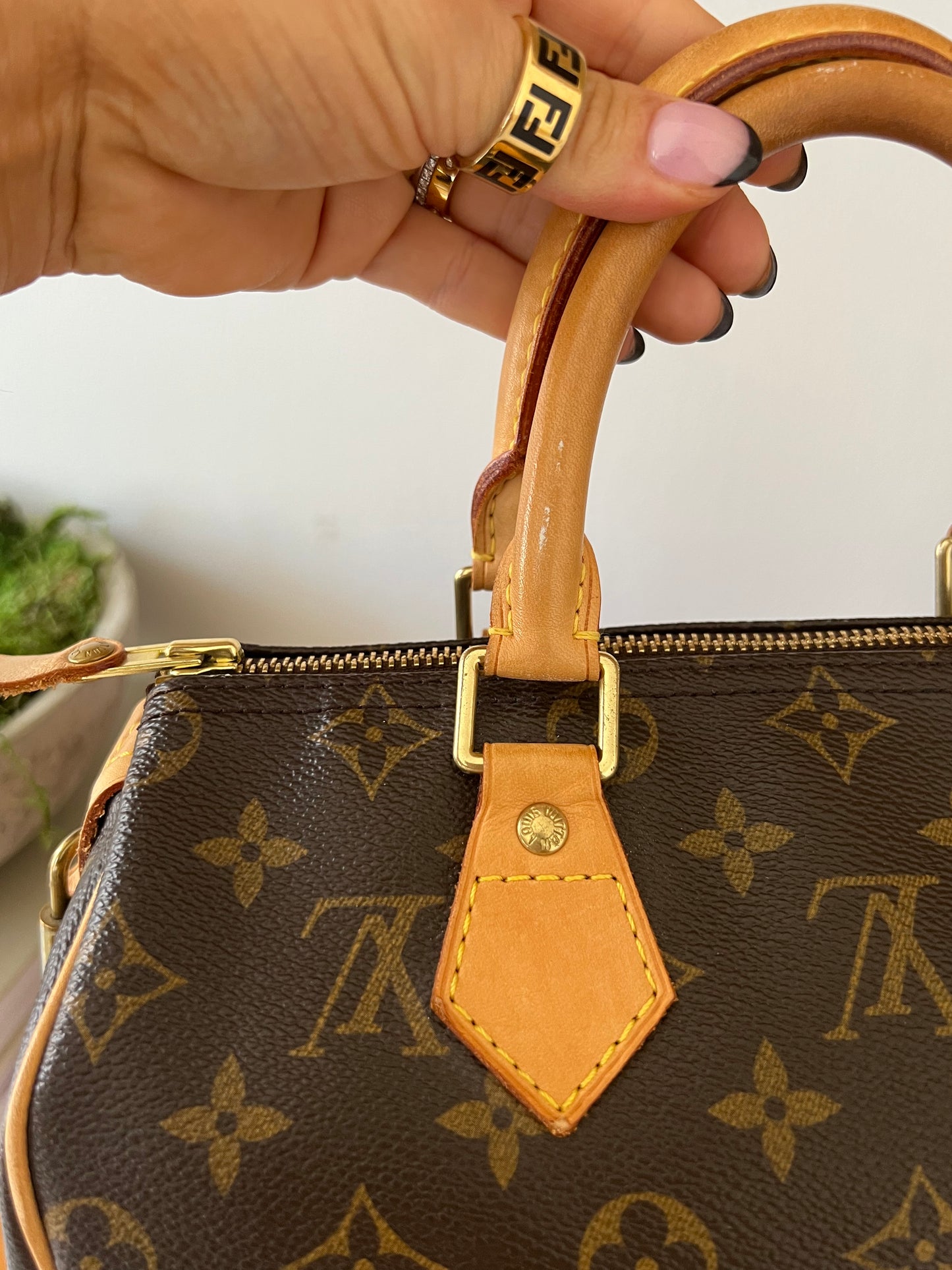 Louis Vuitton Speedy 25 Monogram