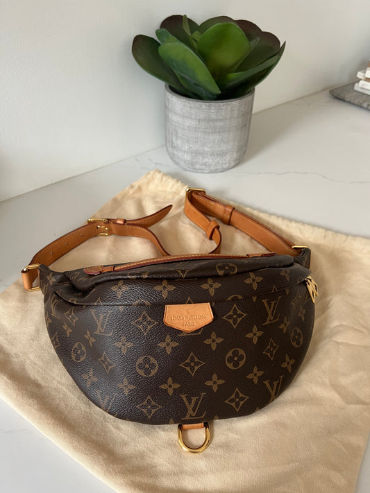 Louis Vuitton Bumbag W/ Dustbag