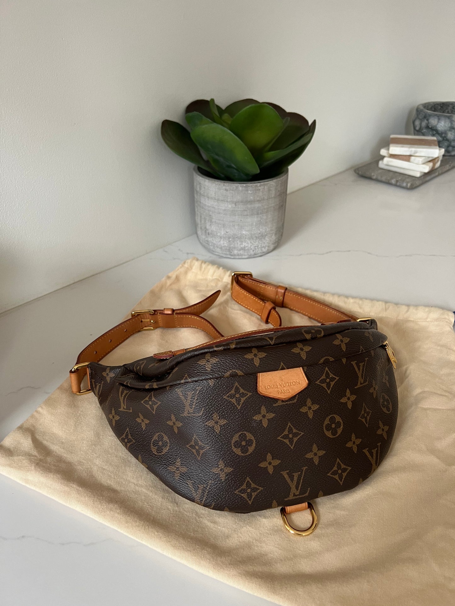 Louis Vuitton Bumbag W/ Dustbag