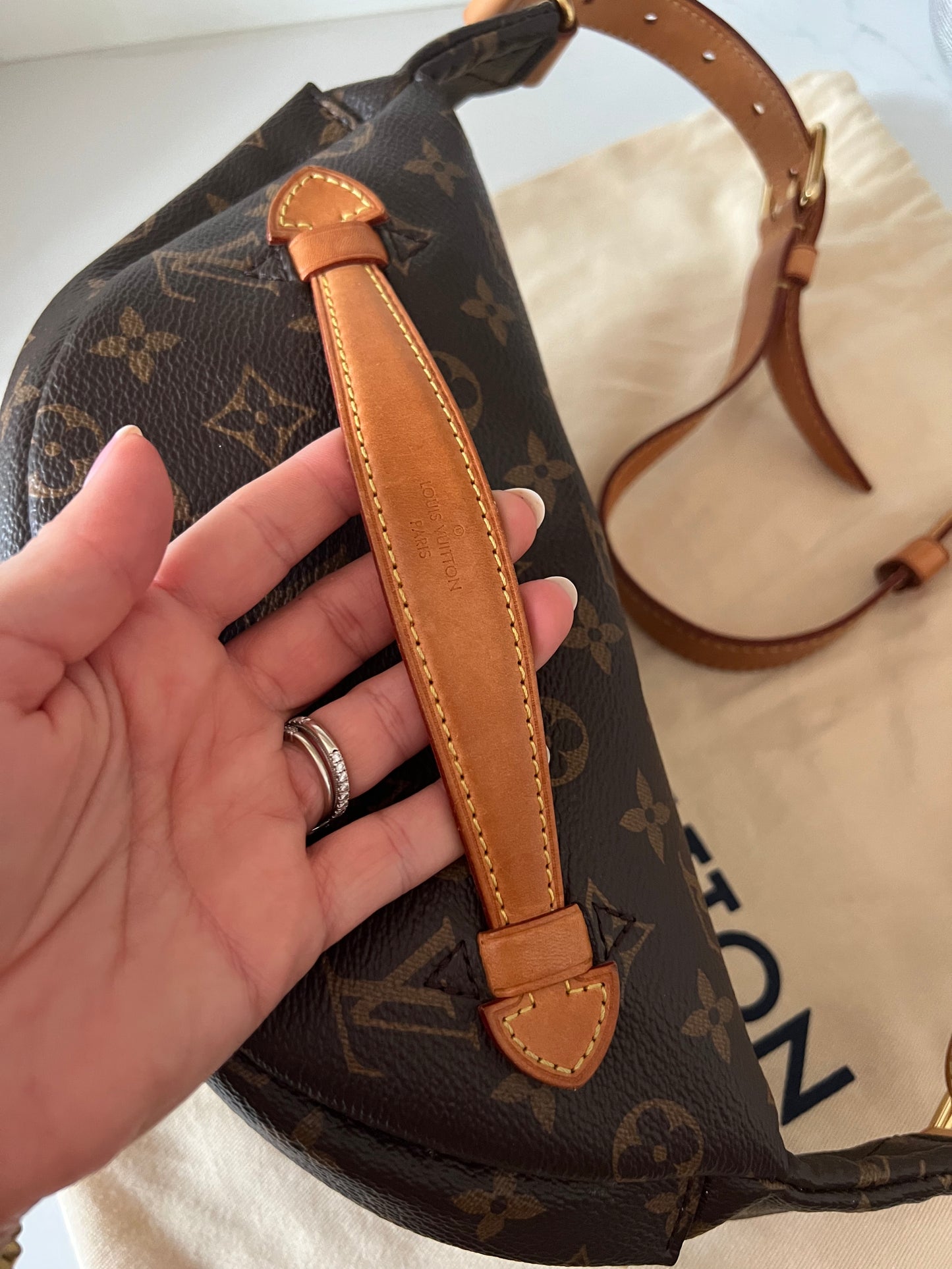 Louis Vuitton Bumbag W/ Dustbag