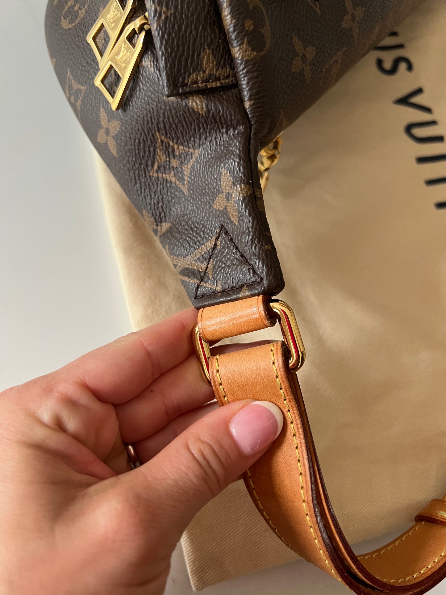 Louis Vuitton Bumbag W/ Dustbag