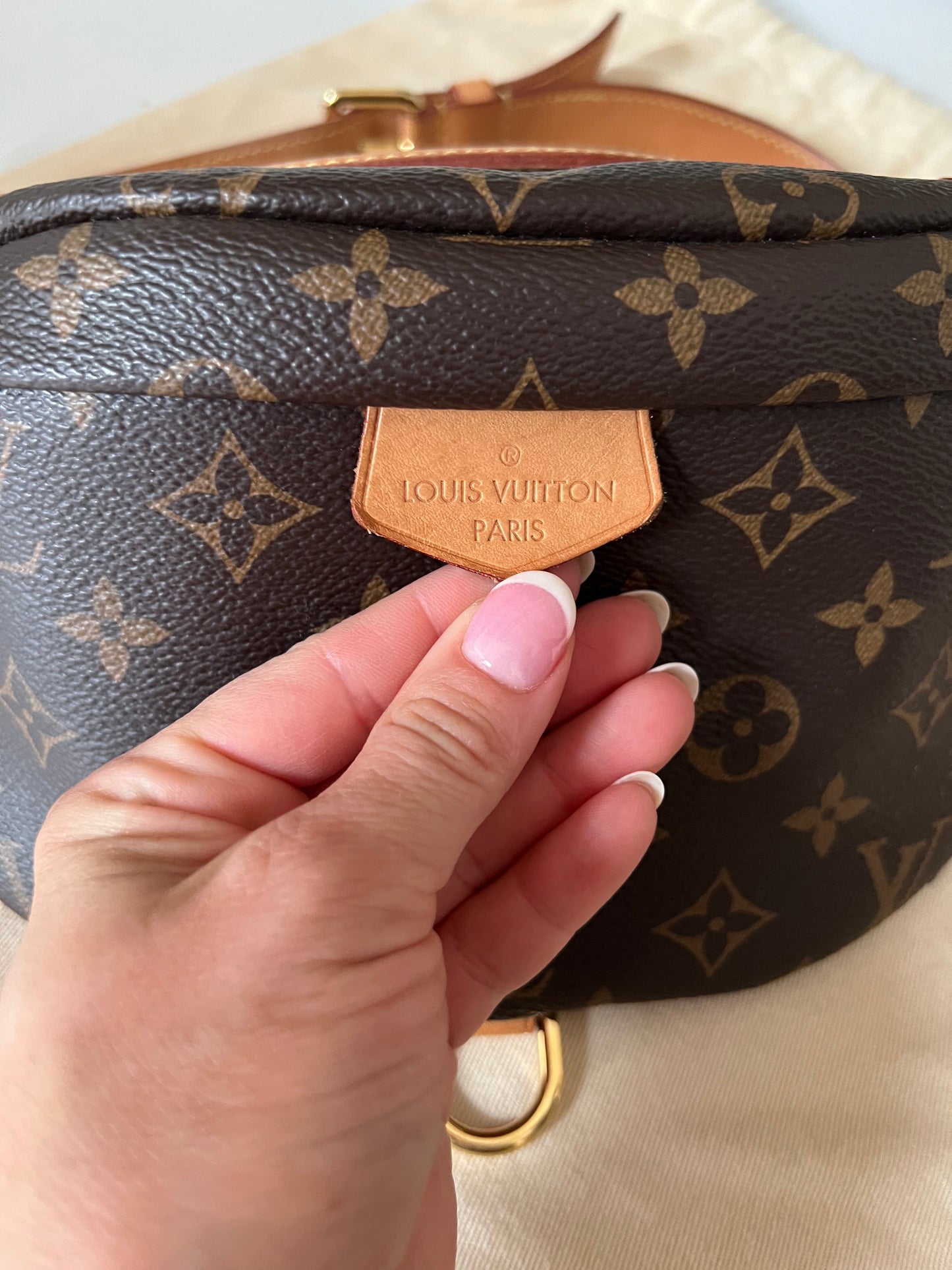 Louis Vuitton Bumbag W/ Dustbag