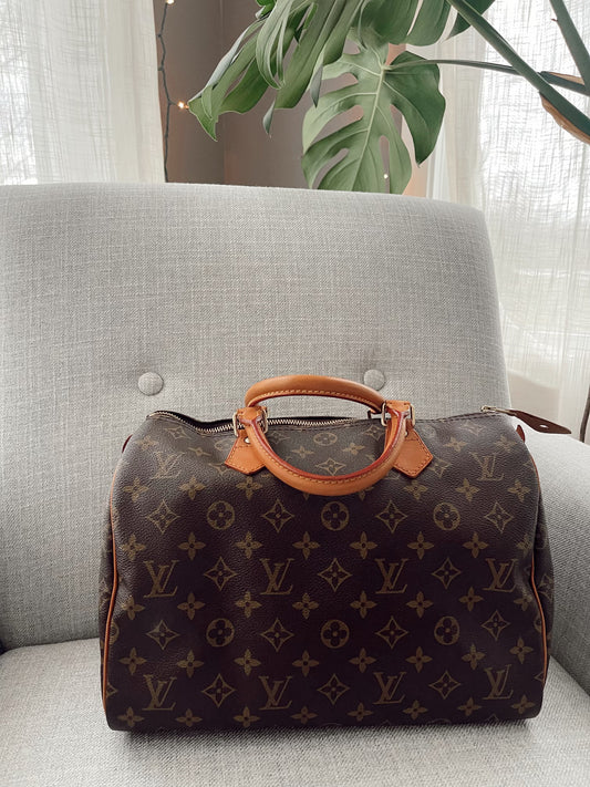 Louis Vuitton Speedy 30