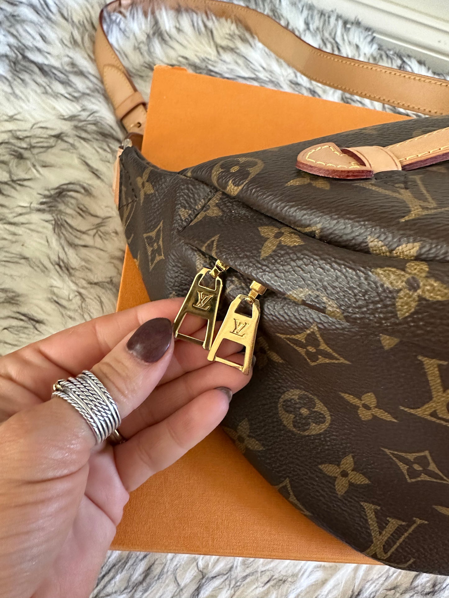 Louis Vuitton Bumbag With Box