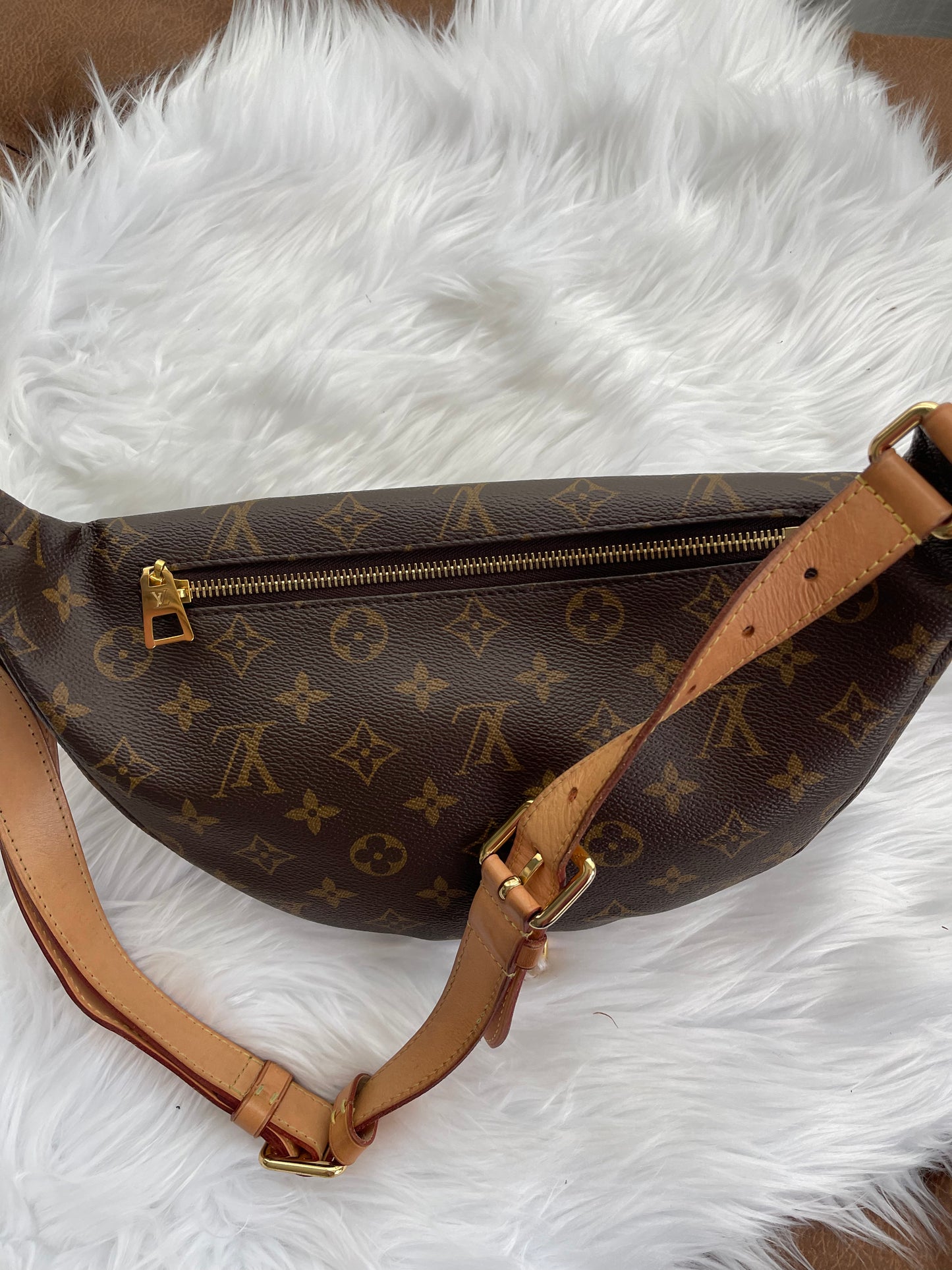 Louis Vuitton Bumbag