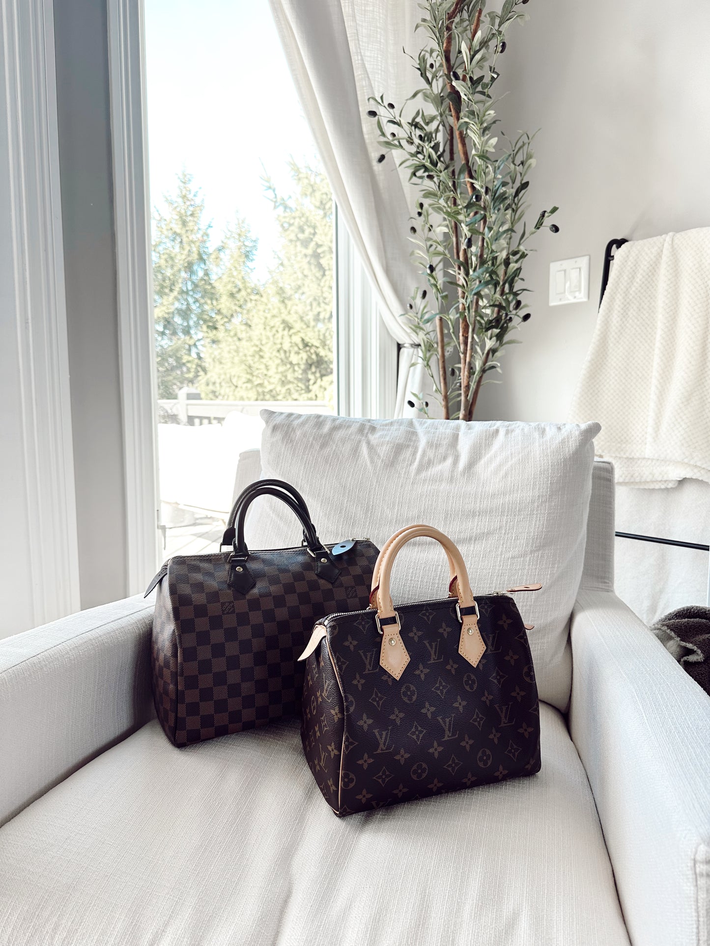 Louis Vuitton Monogram Speedy 25