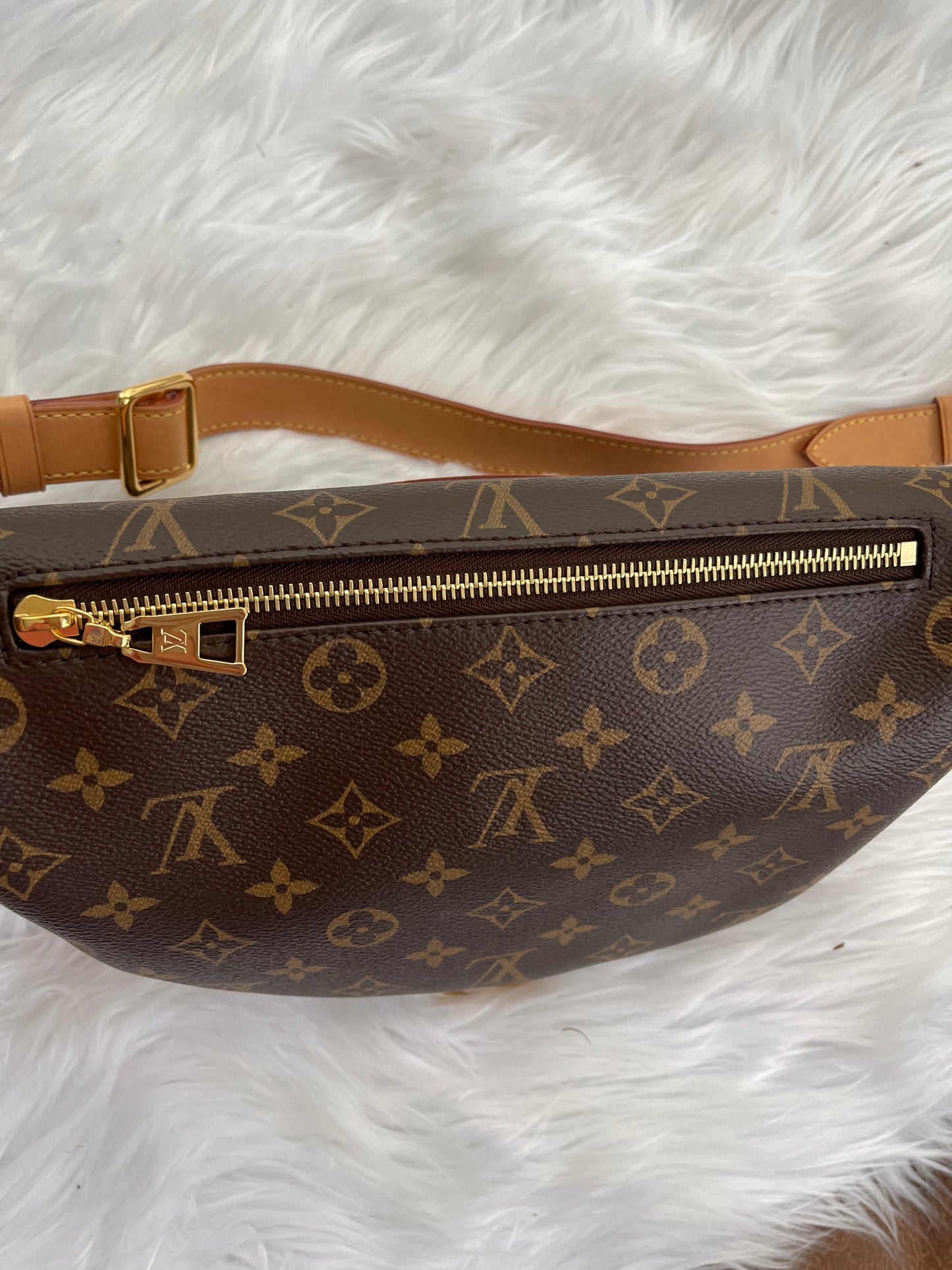 Louis Vuitton Bumbag