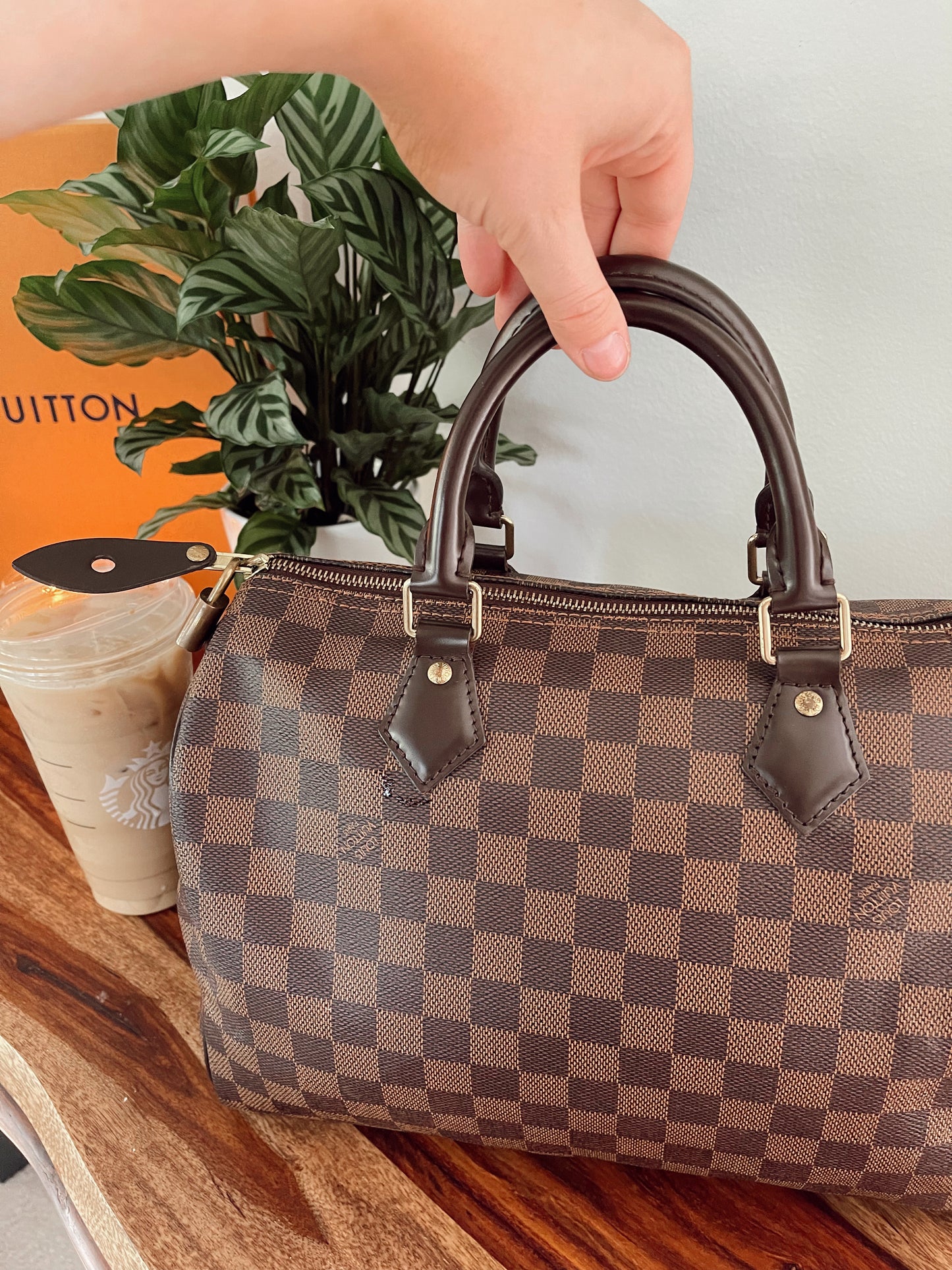 Louis Vuitton Speedy 30 Damier Ebene