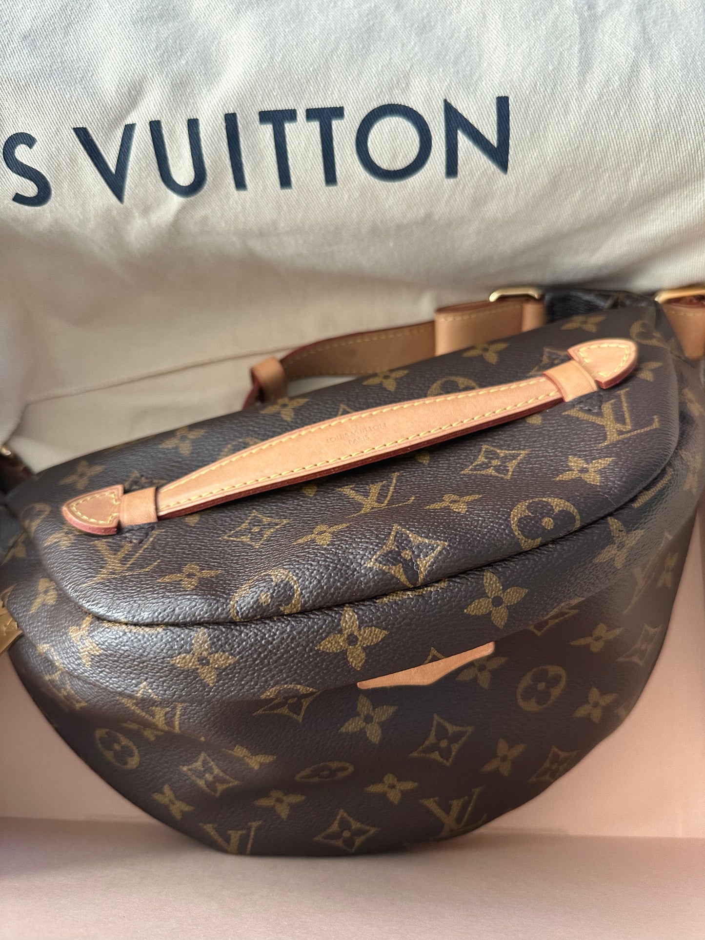 Louis Vuitton Bumbag