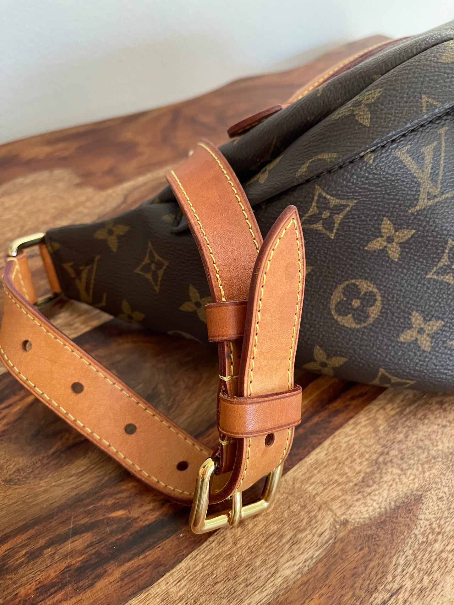 Louis Vuitton Monogram Bumbag