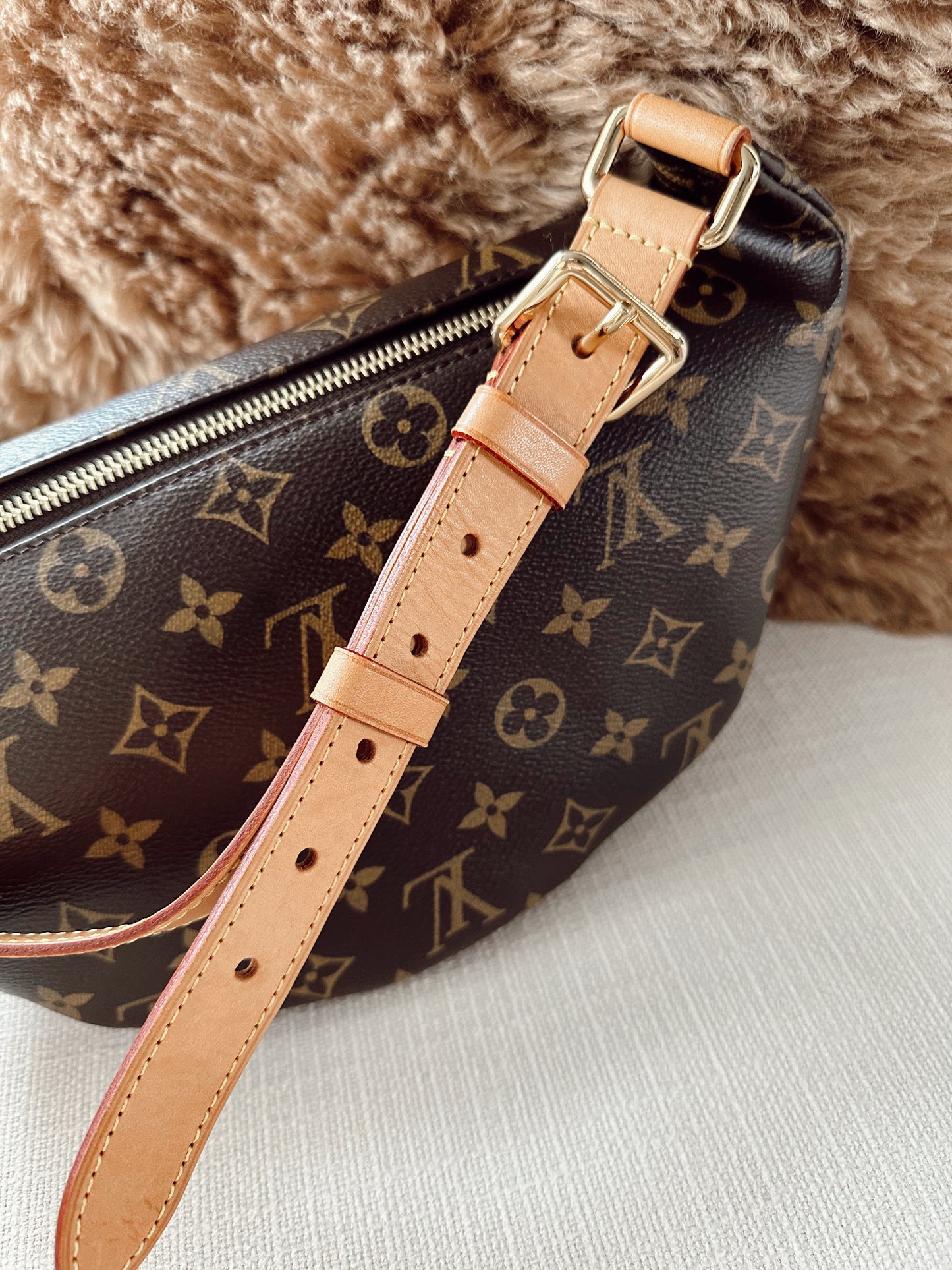 Louis Vuitton Bumbag 1