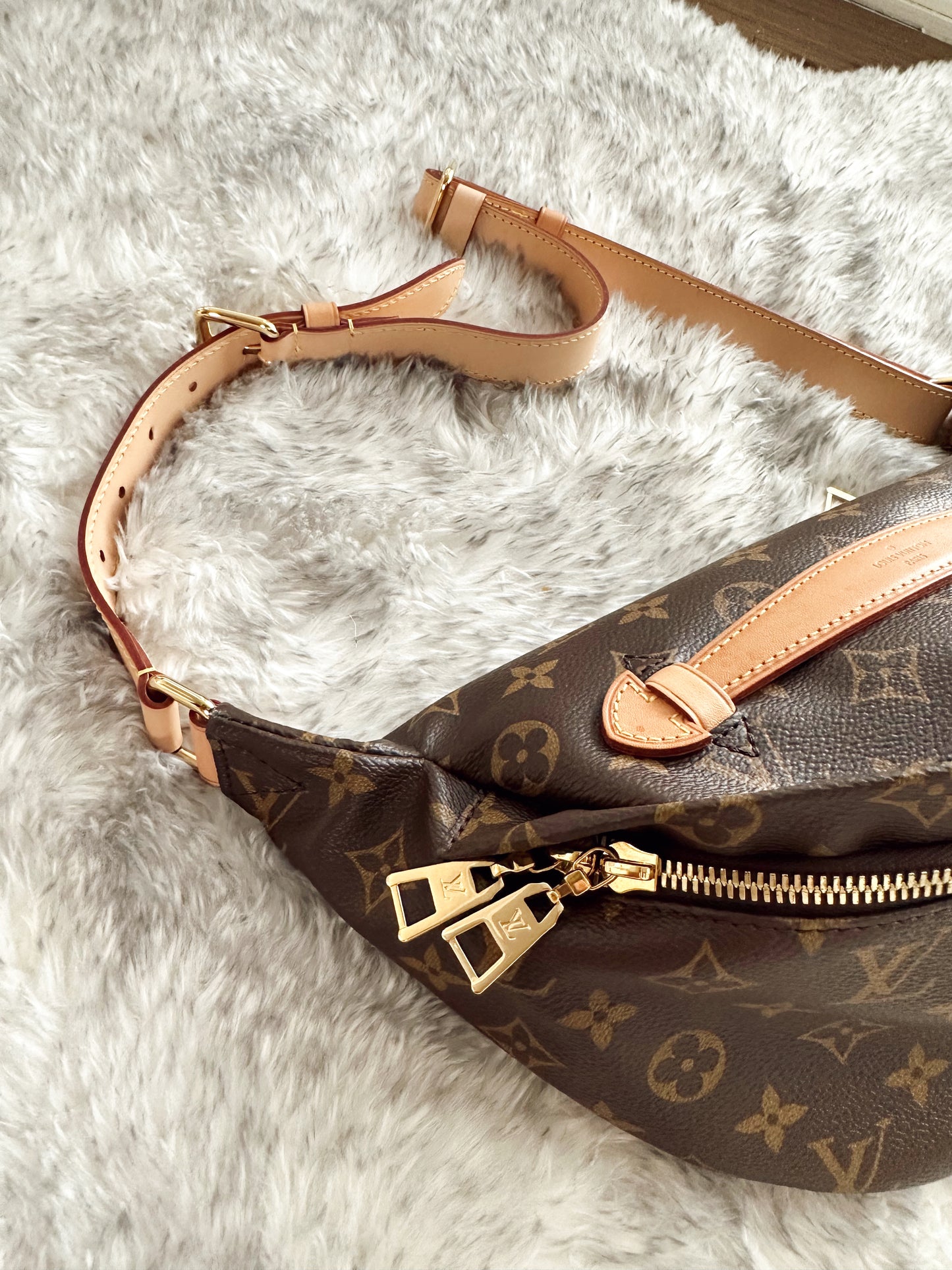 Louis Vuitton Bumbag 2