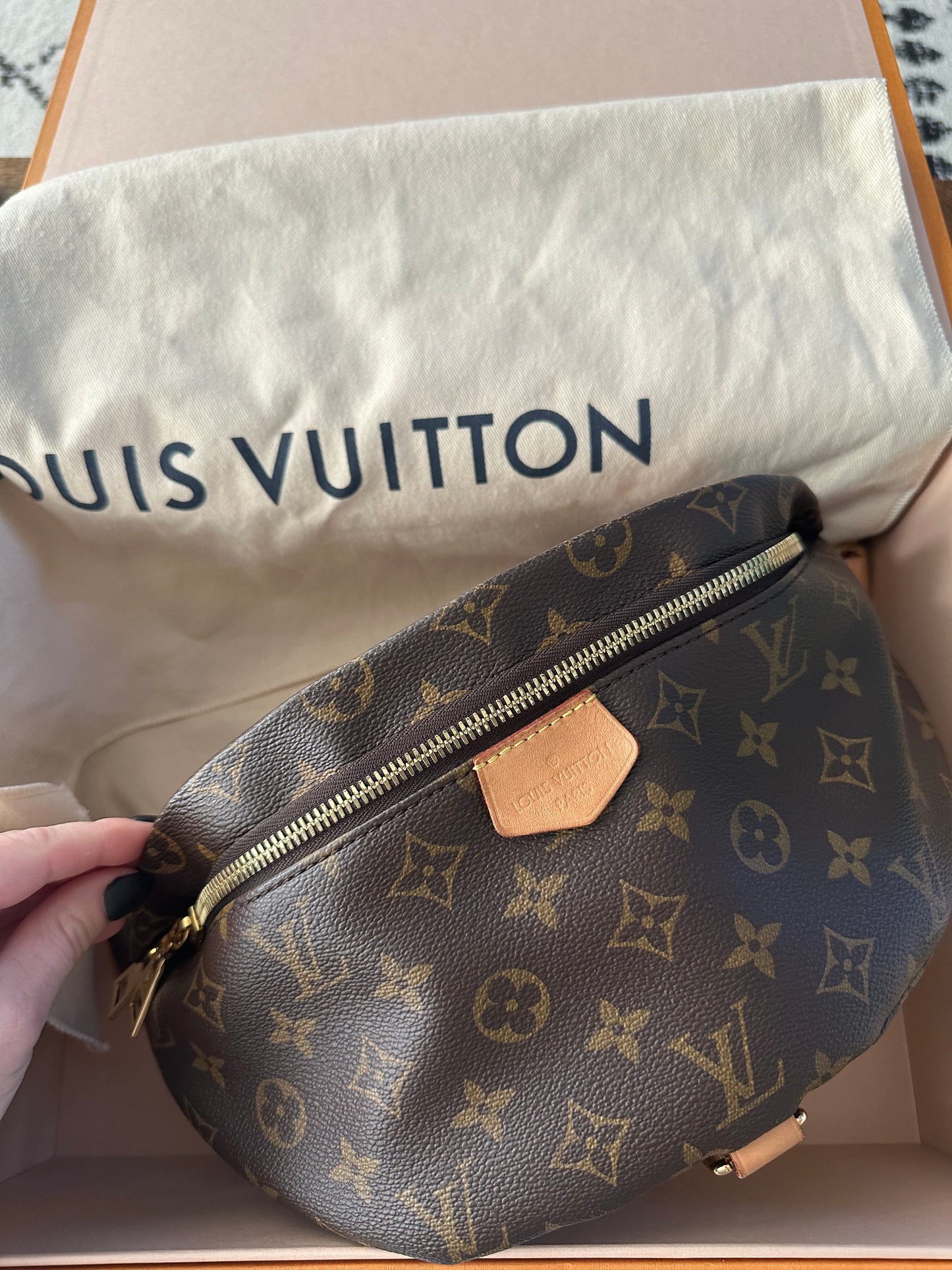 Louis Vuitton Bumbag