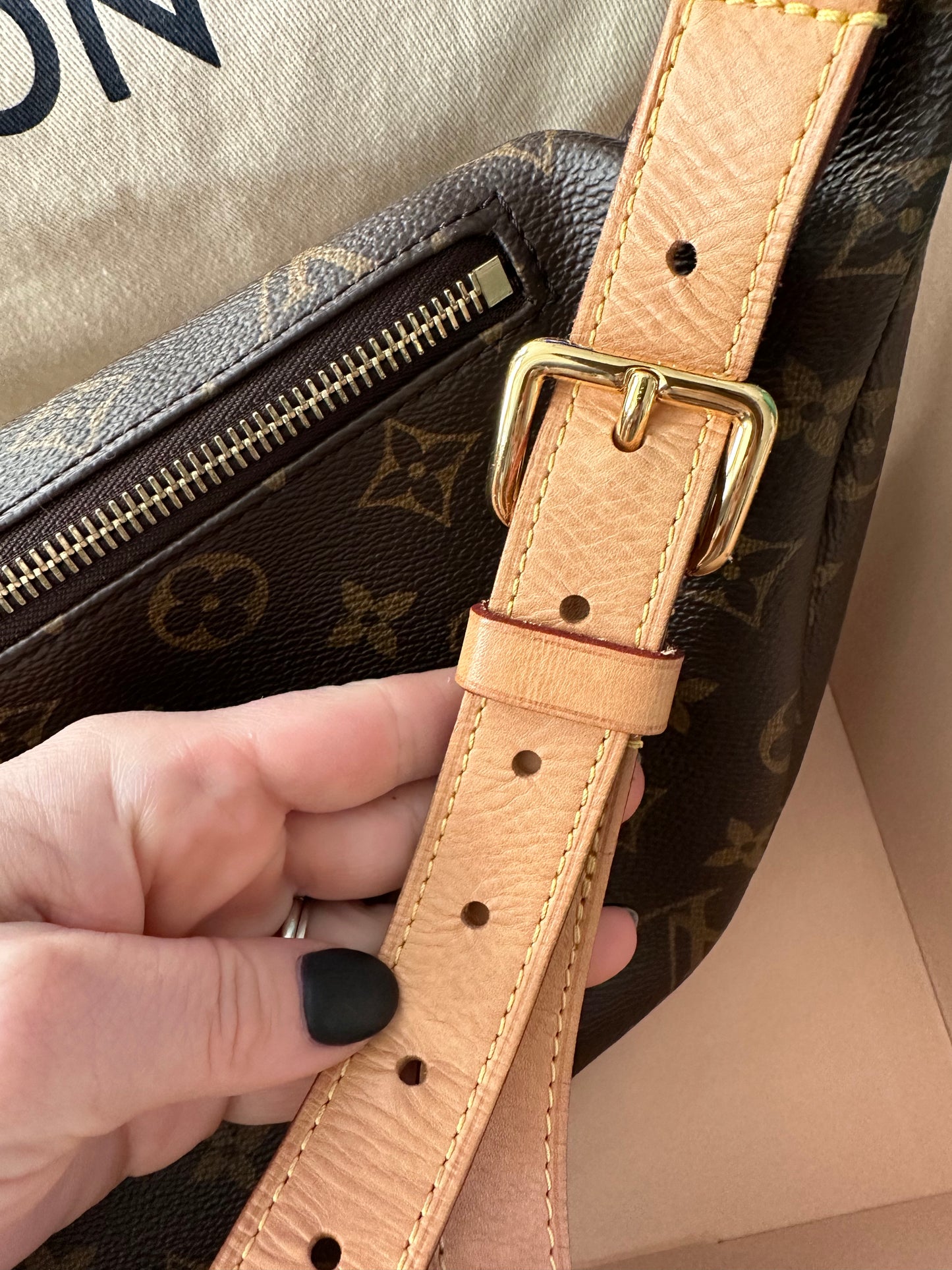 Louis Vuitton Bumbag