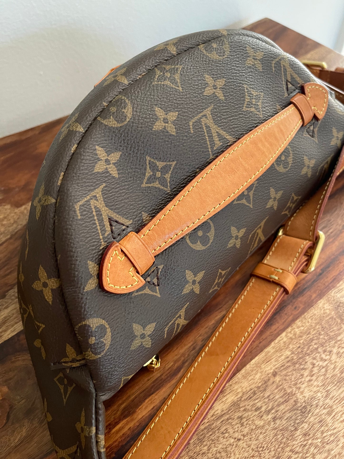 Louis Vuitton Monogram Bumbag